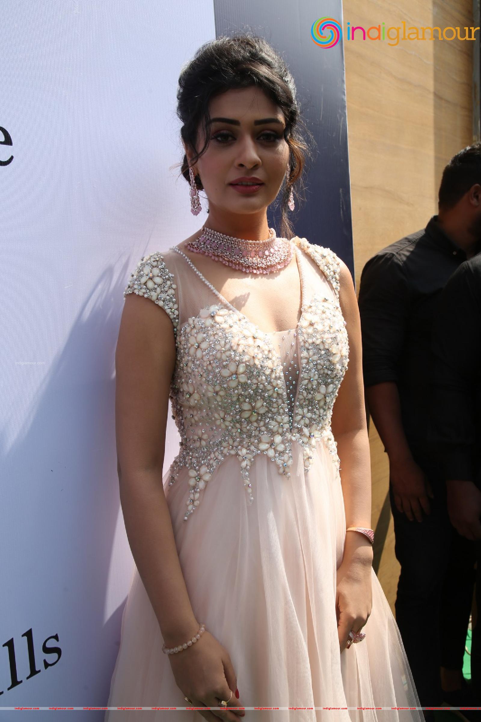 Payal Rajput Actress hd photo