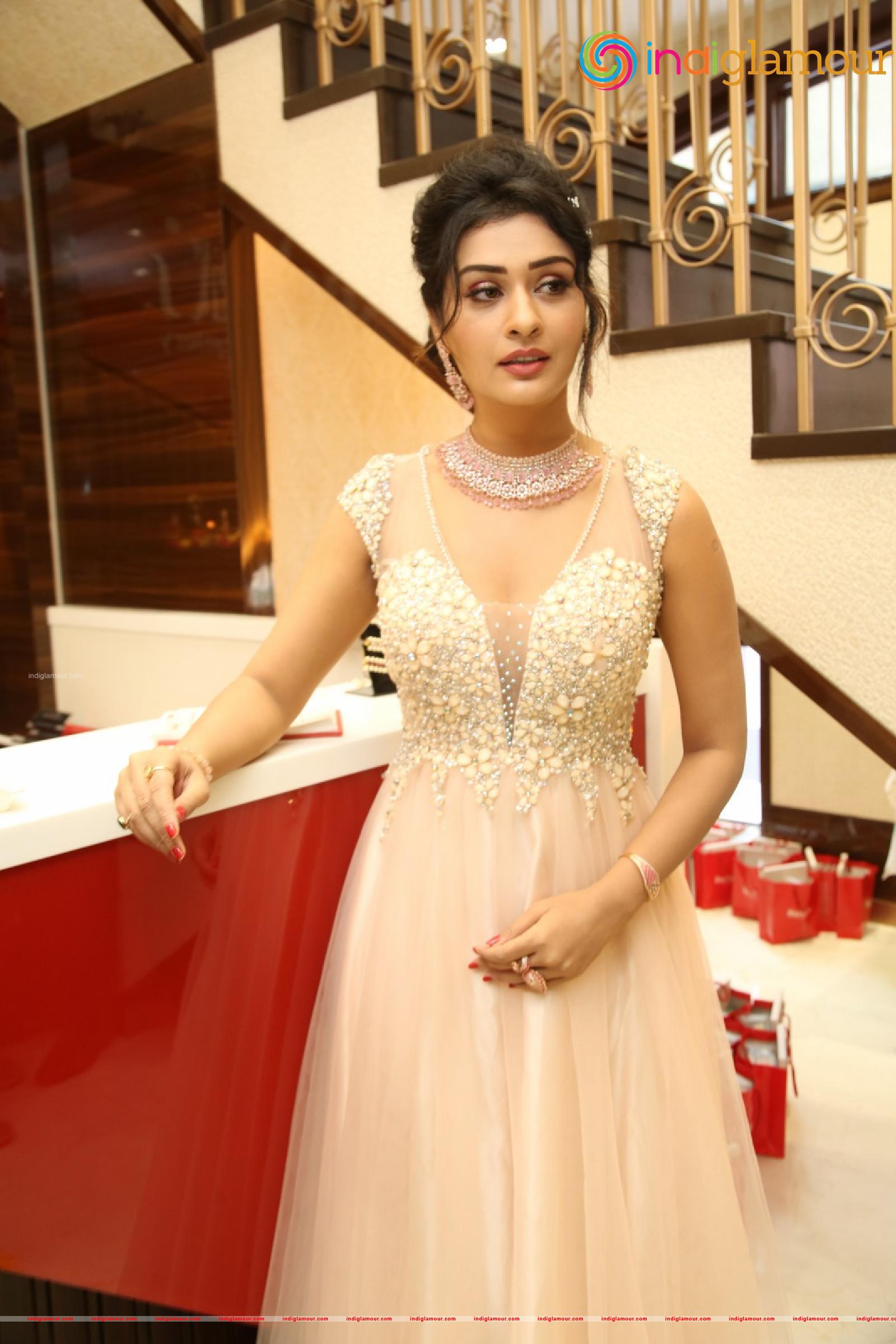 Payal Rajput Actress hd photo