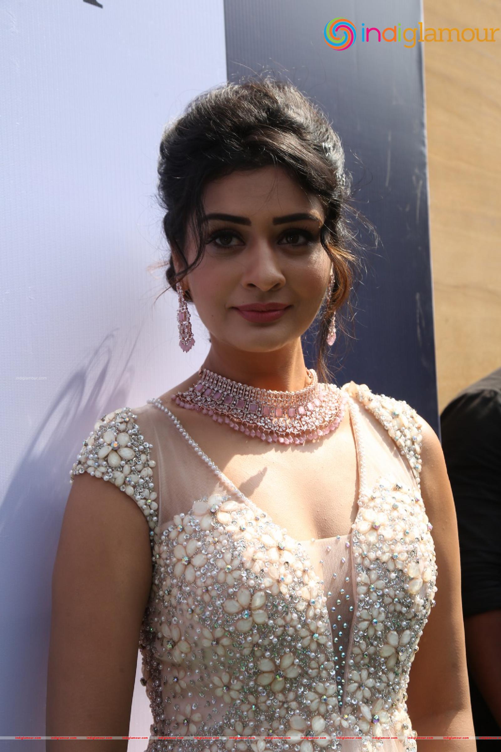 Payal Rajput Actress hd photo