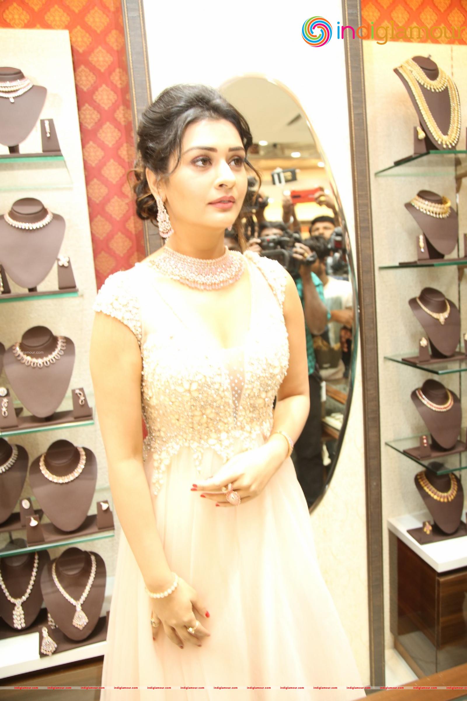 Payal Rajput Actress hd photo