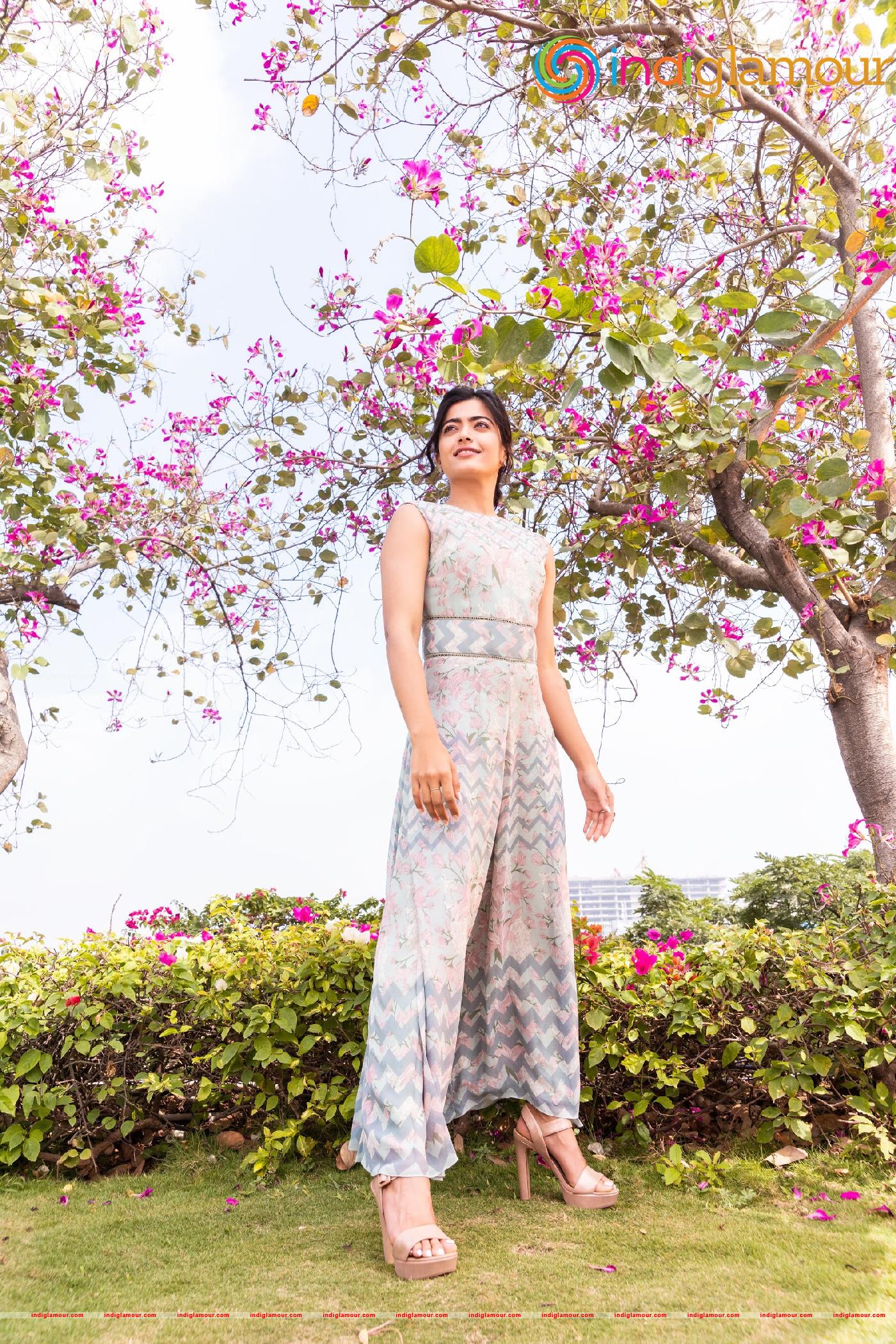 Rashmika Mandanna Actress hd photo