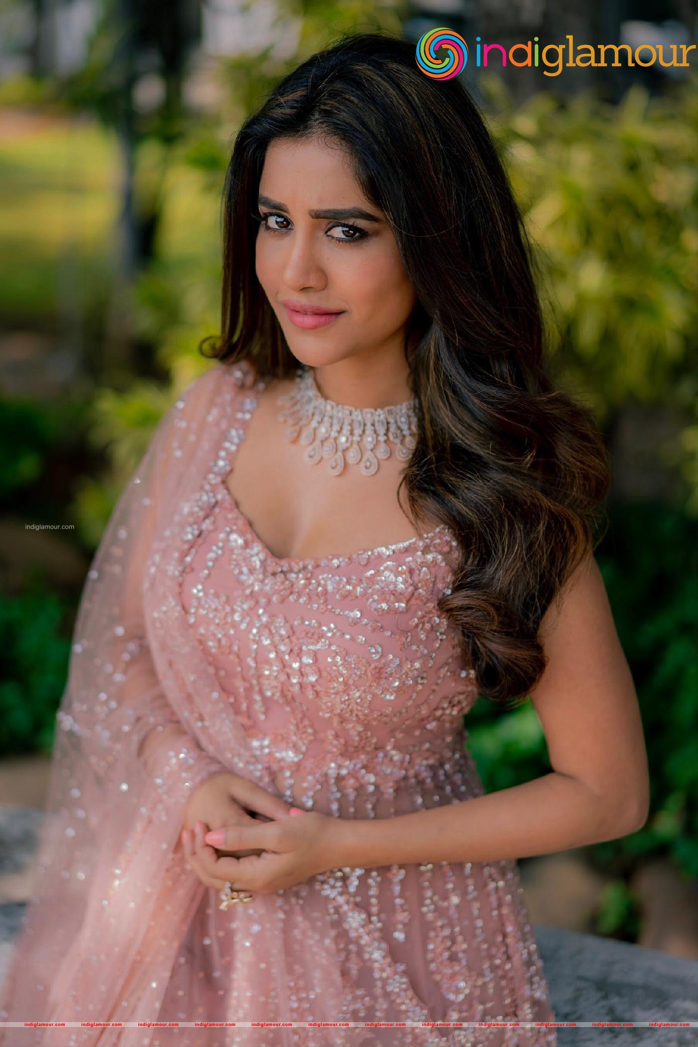 Nabha Natesh Actress hd photo