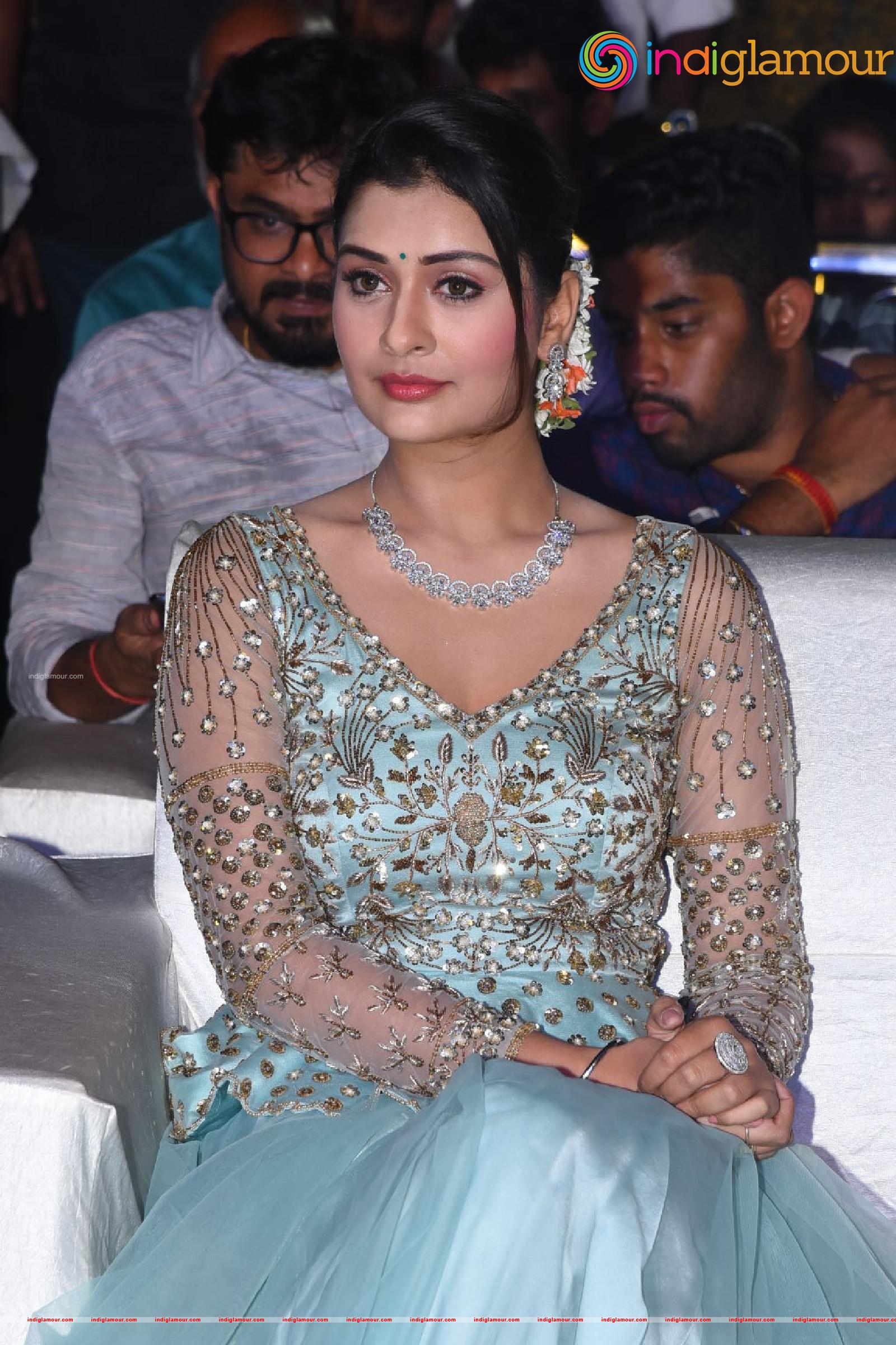 Payal Rajput Actress hd photo