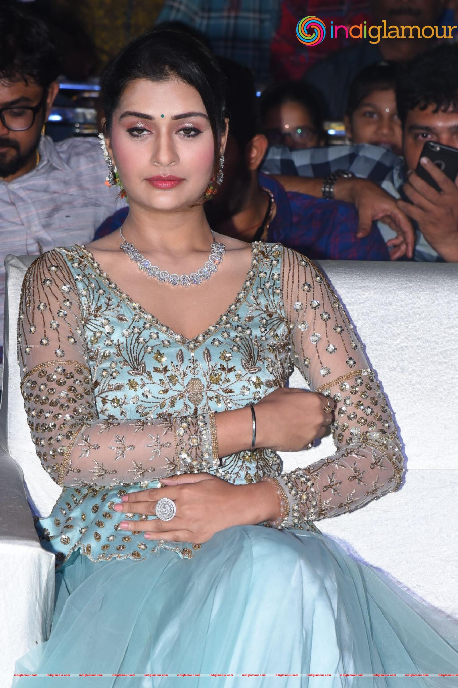 Payal Rajput Actress hd photo
