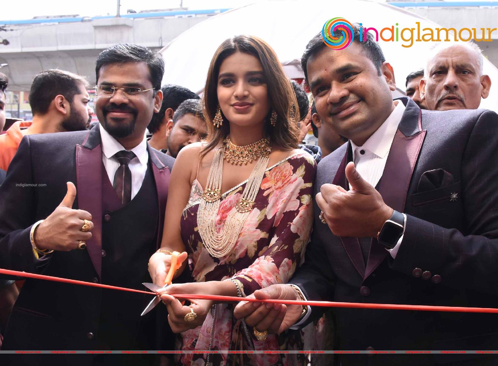 Nidhhi Agerwal Actress hd photo