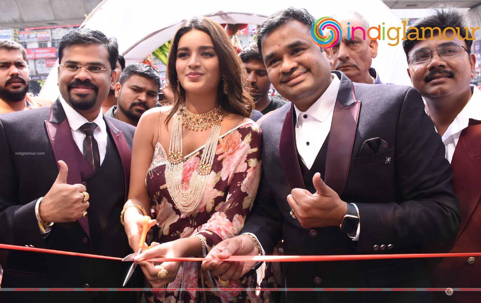 Nidhhi Agerwal Actress hd photo