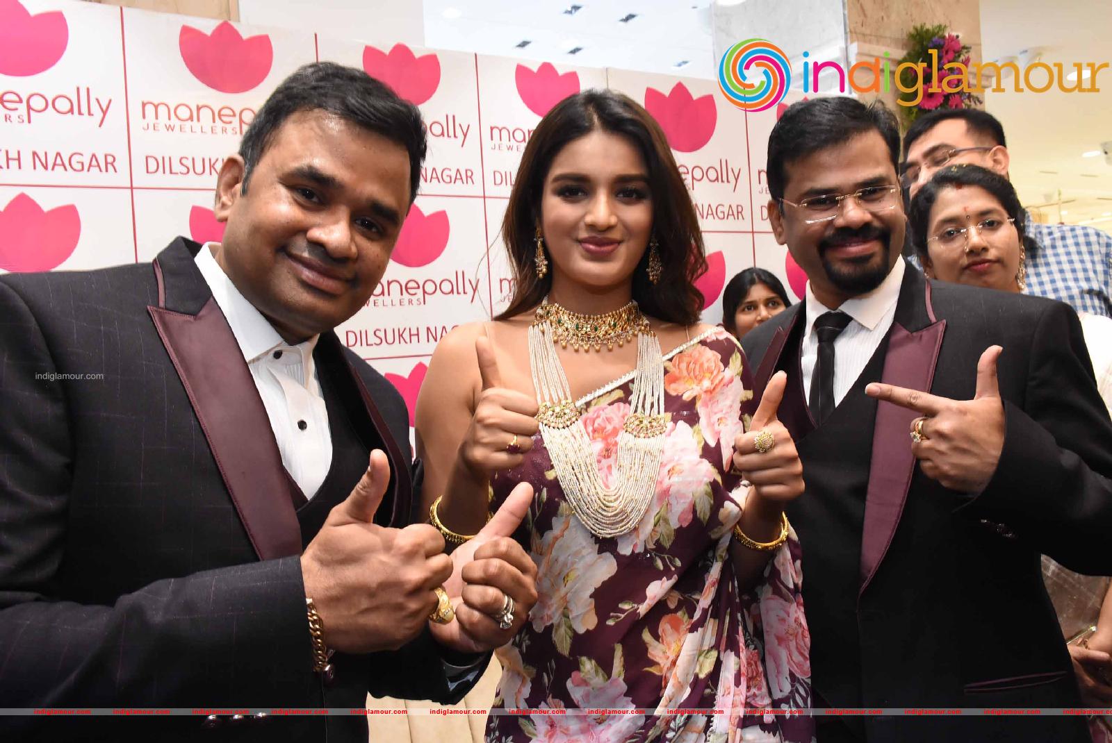 Nidhhi Agerwal Actress hd photo