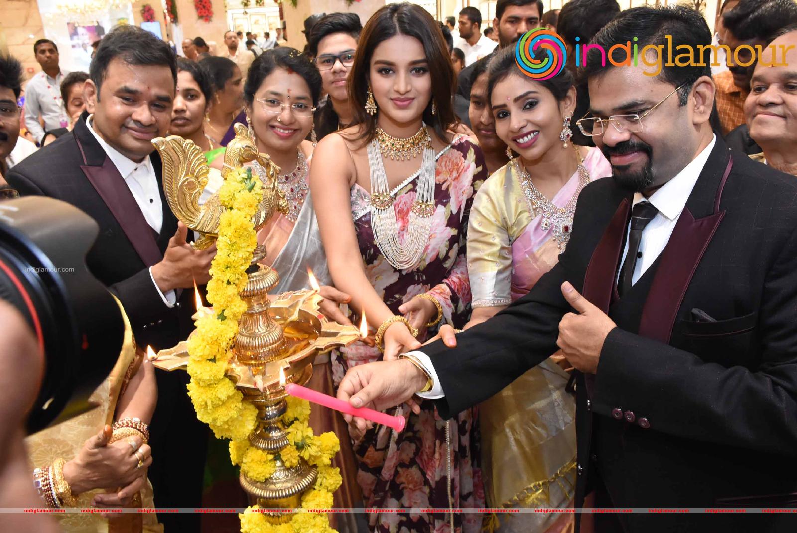 Nidhhi Agerwal Actress hd photo