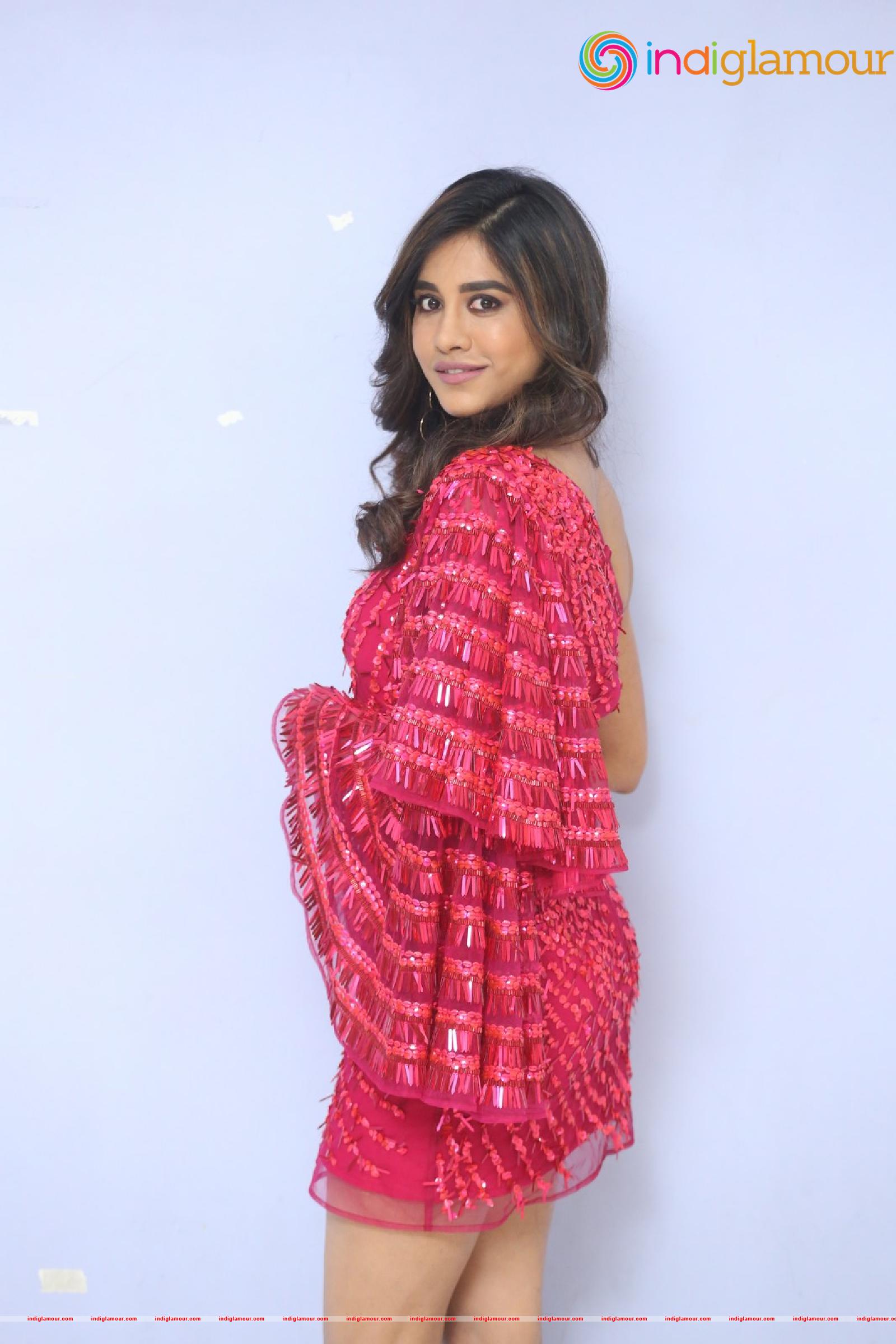 Nabha Natesh Actress hd photo