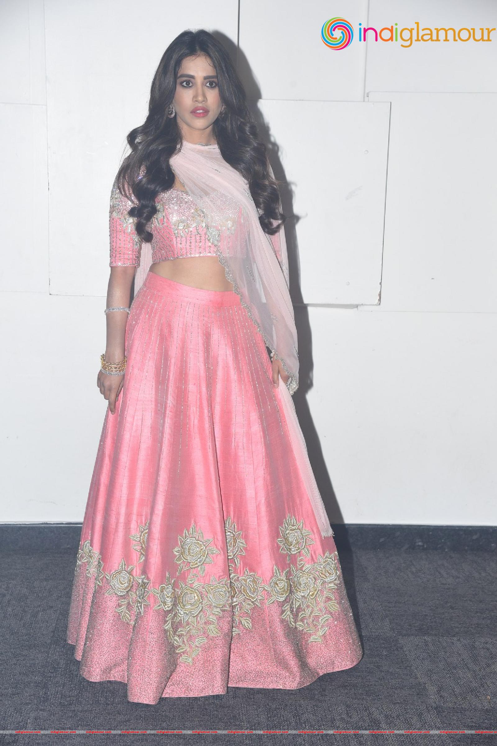Nabha Natesh Actress hd photo