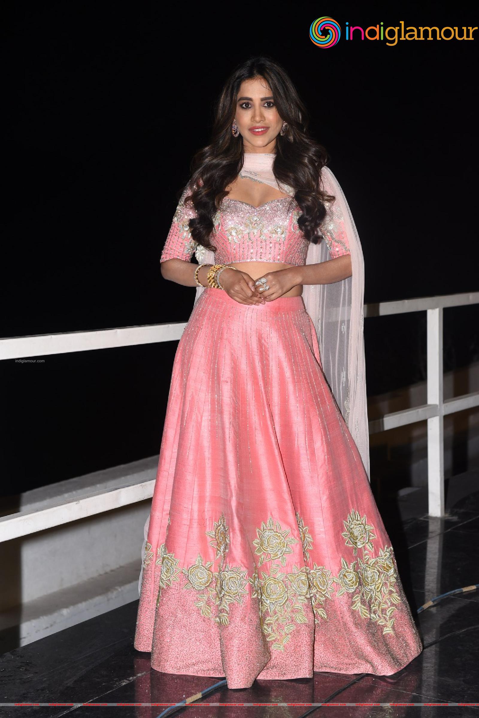 Nabha Natesh Actress hd photo