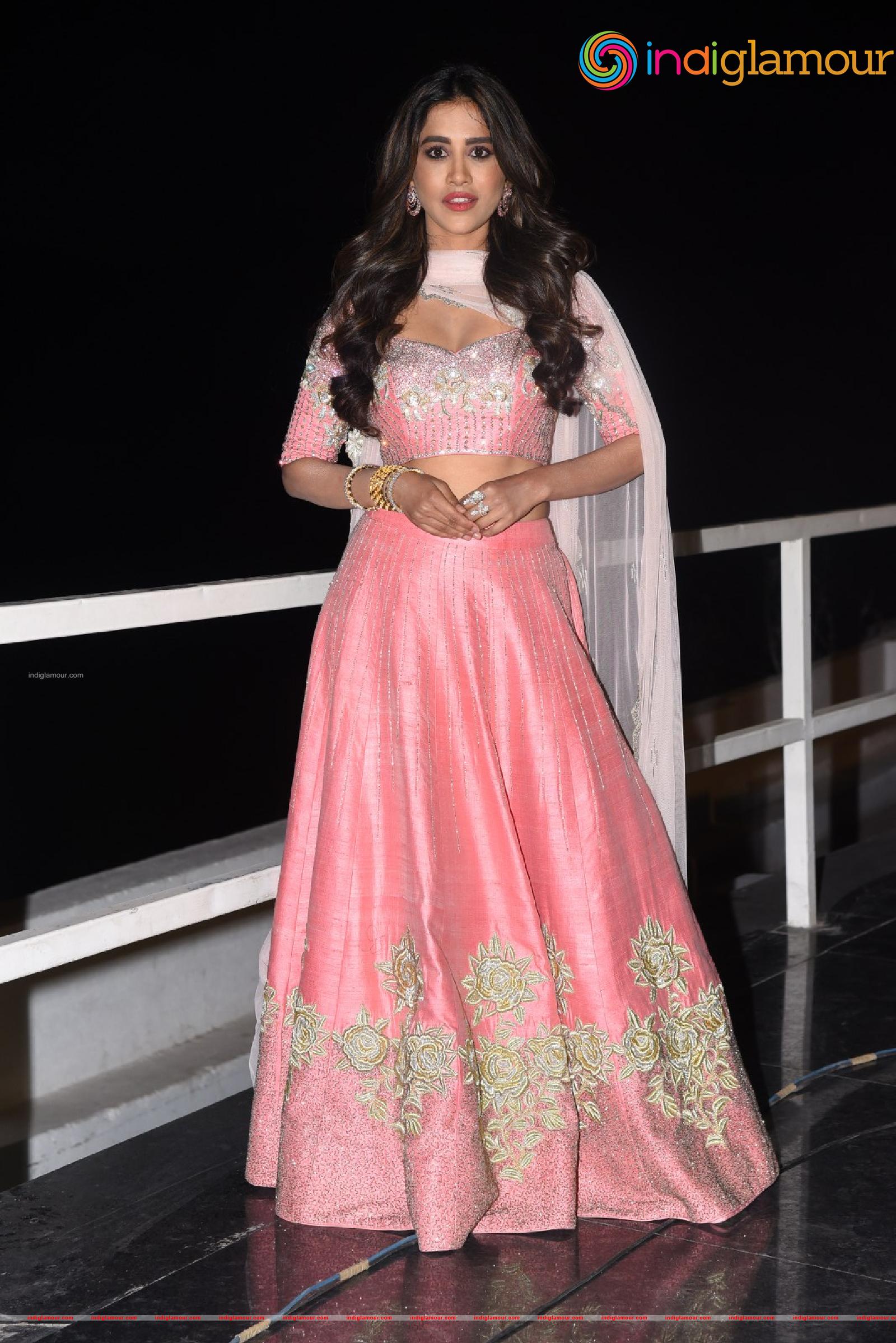 Nabha Natesh Actress hd photo