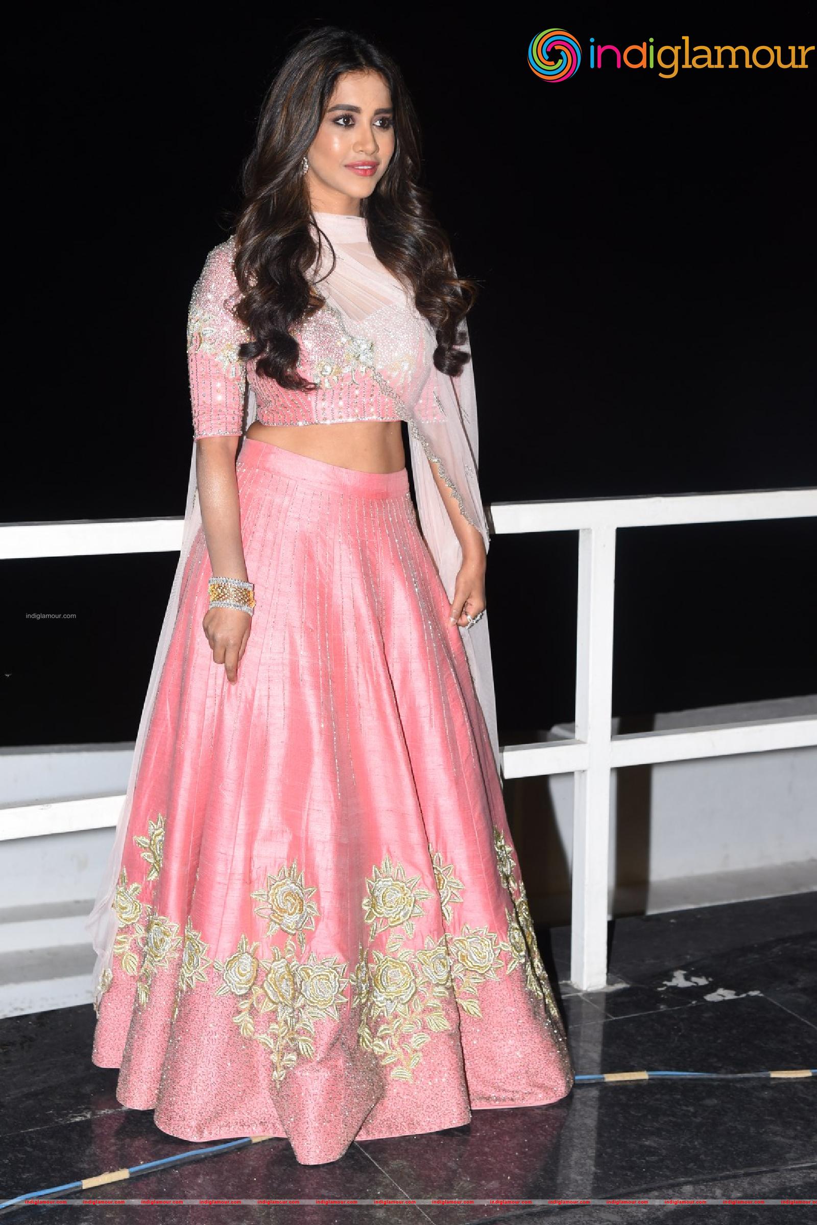 Nabha Natesh Actress hd photo