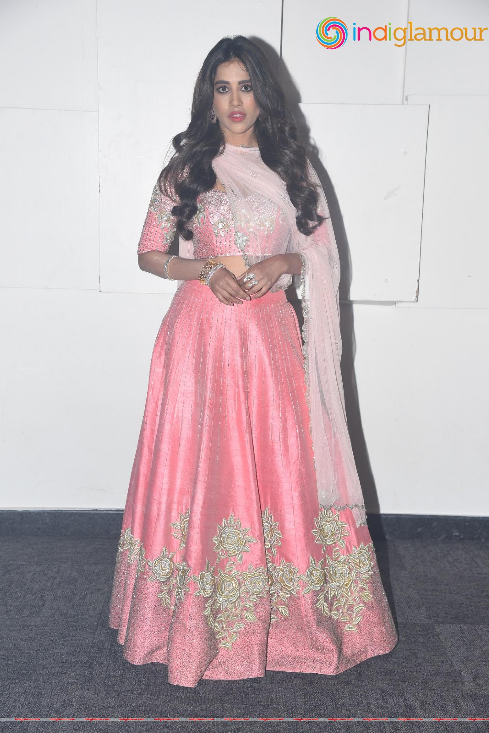Nabha Natesh Actress hd photo
