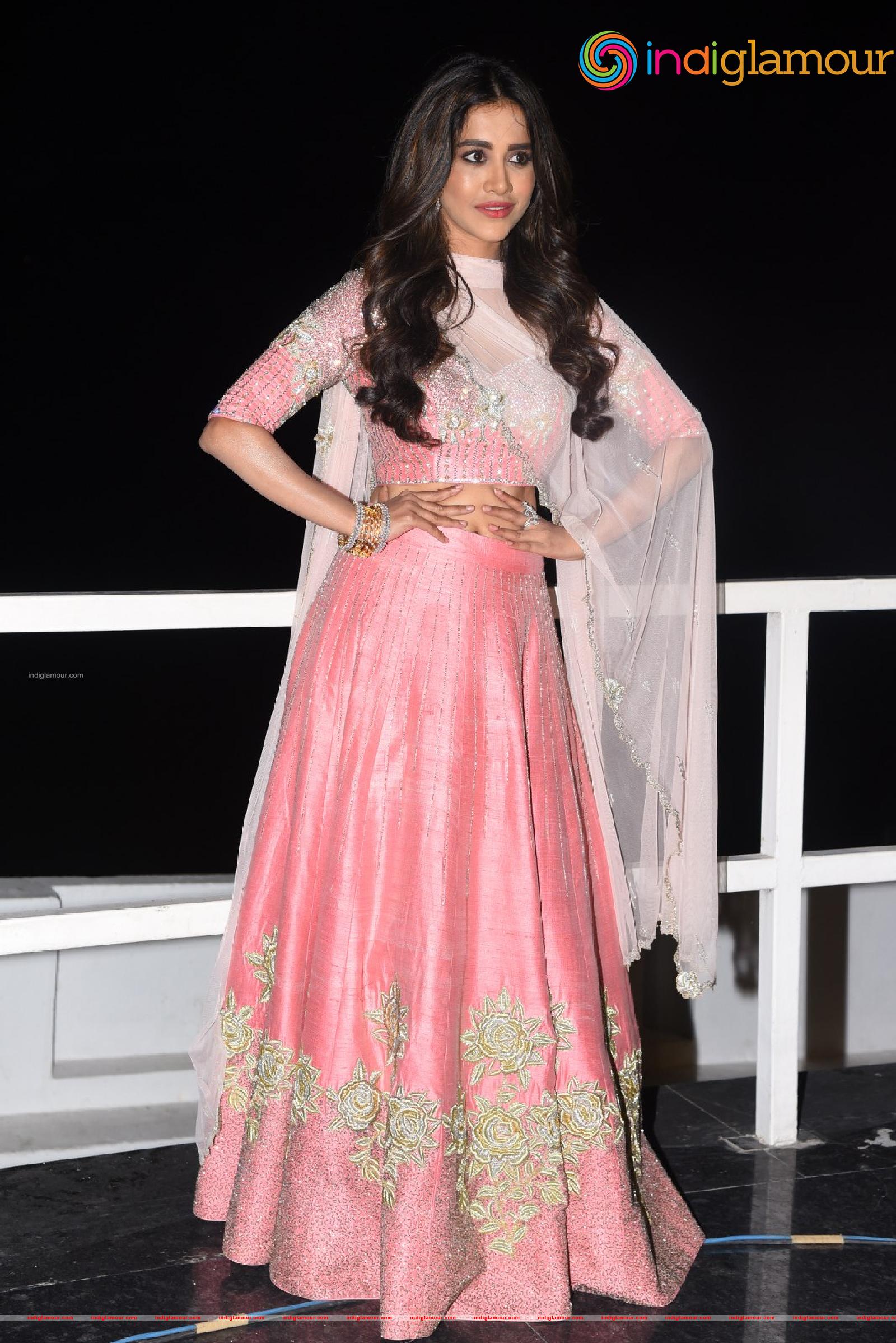 Nabha Natesh Actress hd photo