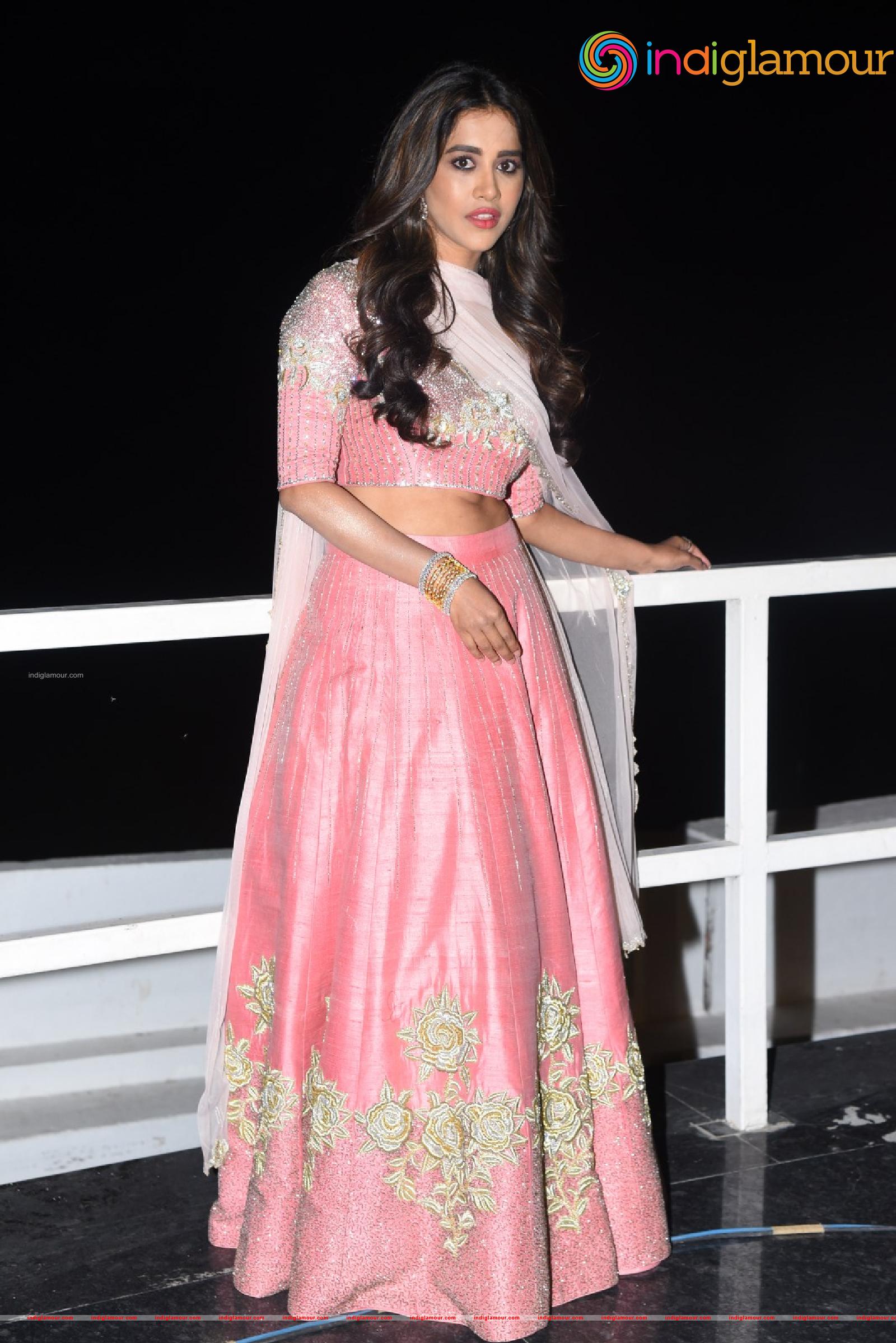 Nabha Natesh Actress hd photo