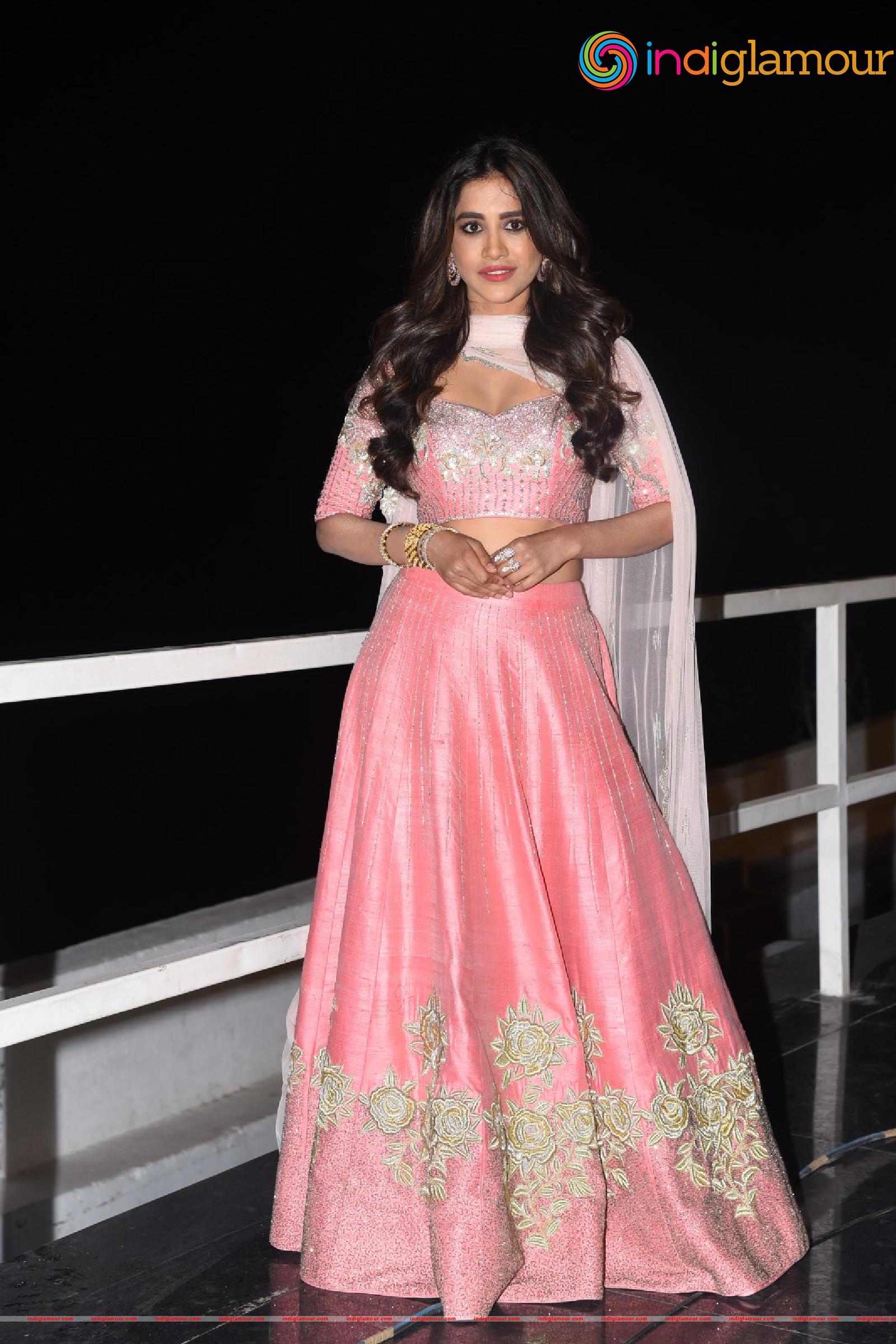 Nabha Natesh Actress hd photo