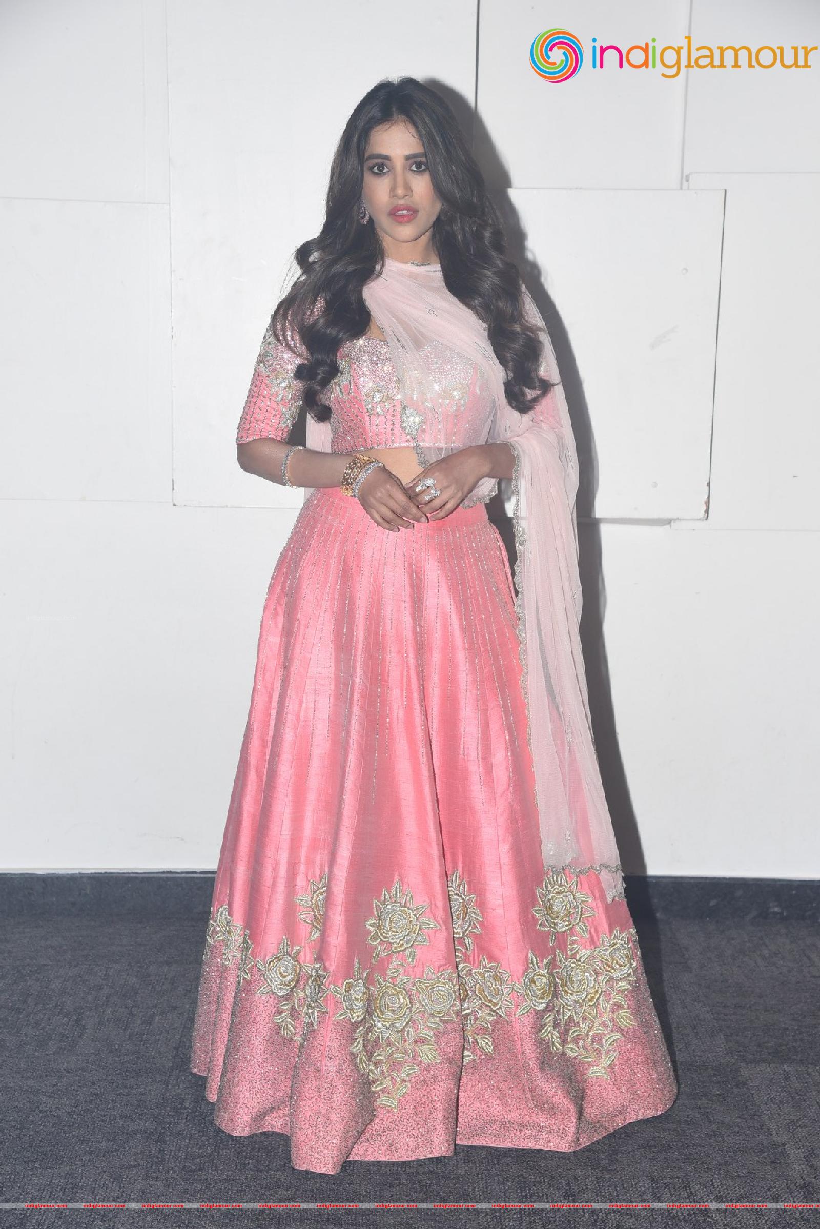 Nabha Natesh Actress hd photo