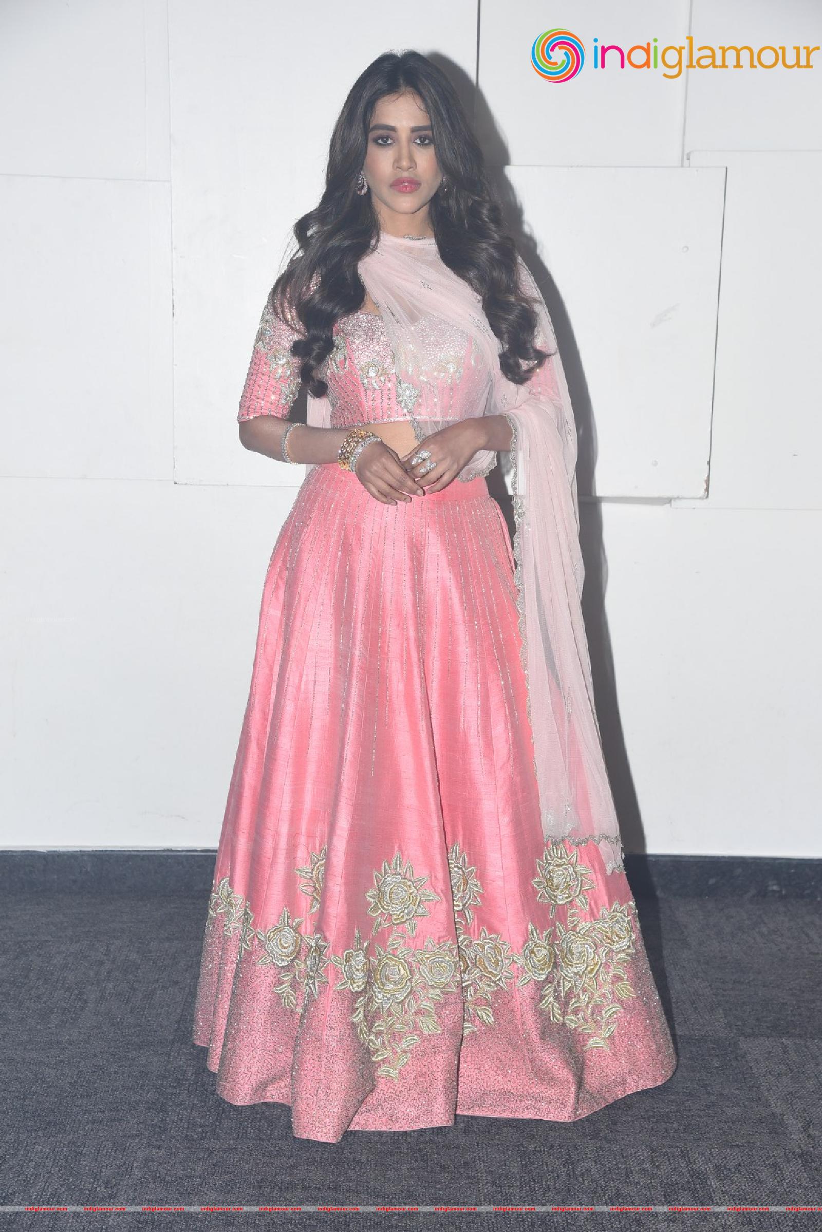 Nabha Natesh Actress hd photo