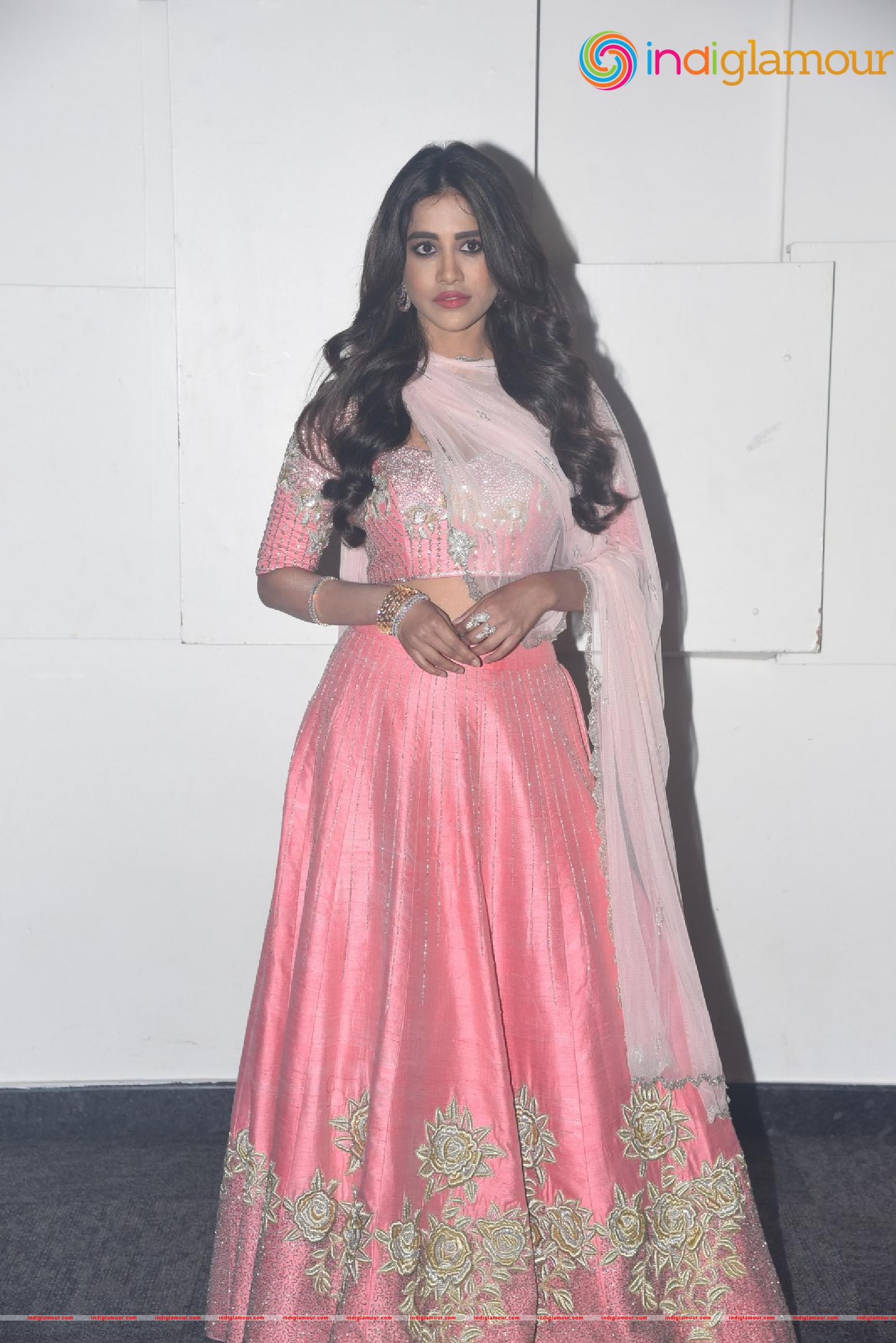 Nabha Natesh Actress hd photo