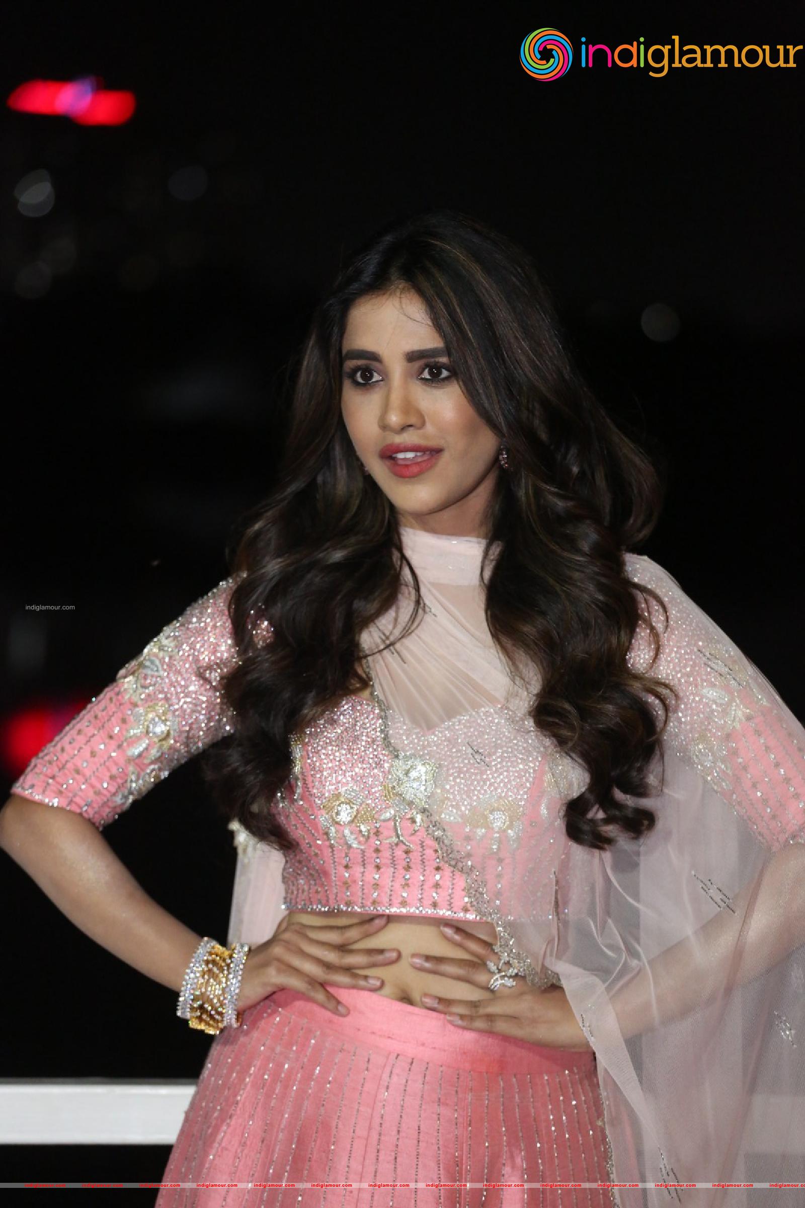Nabha Natesh Actress hd photo