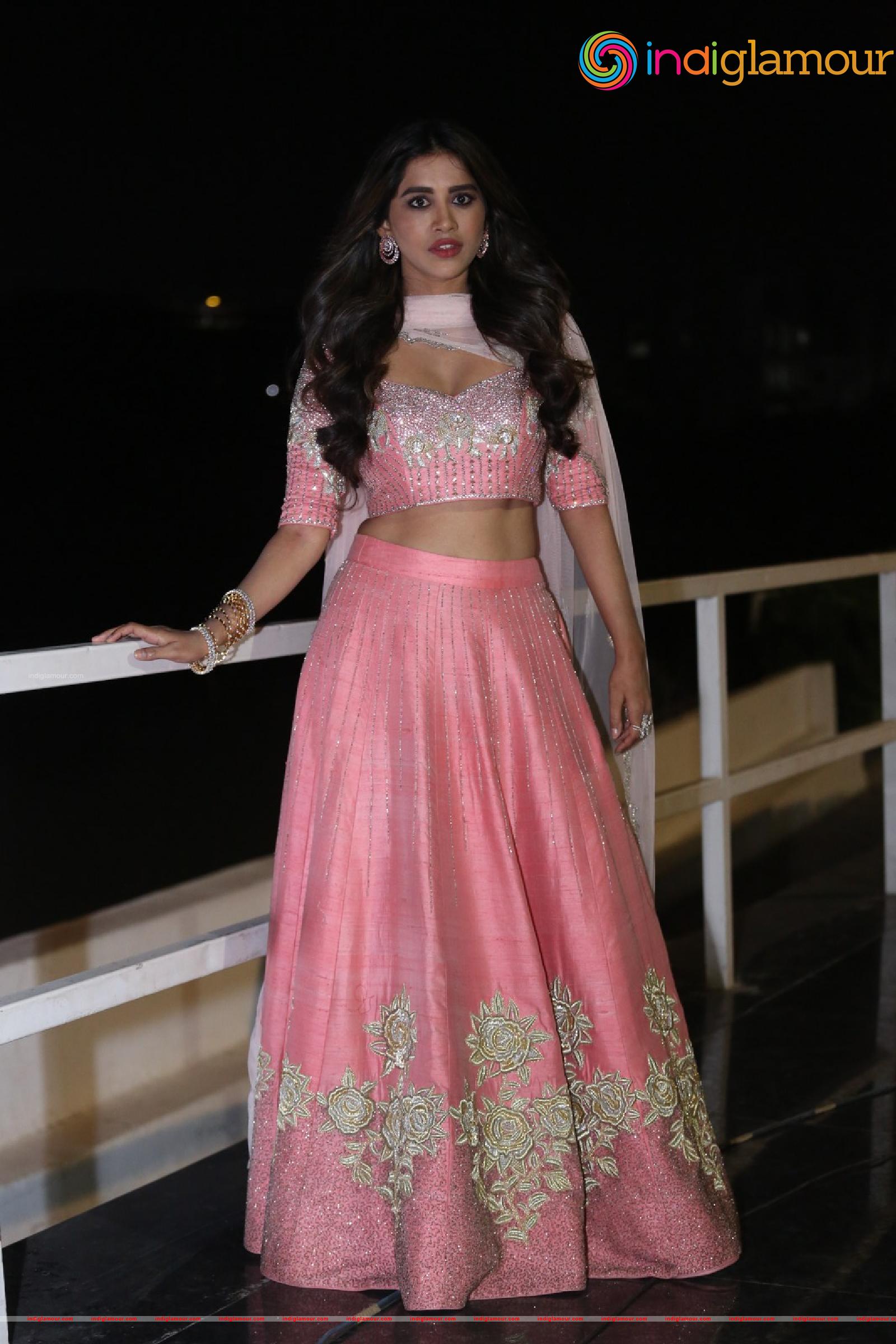 Nabha Natesh Actress hd photo