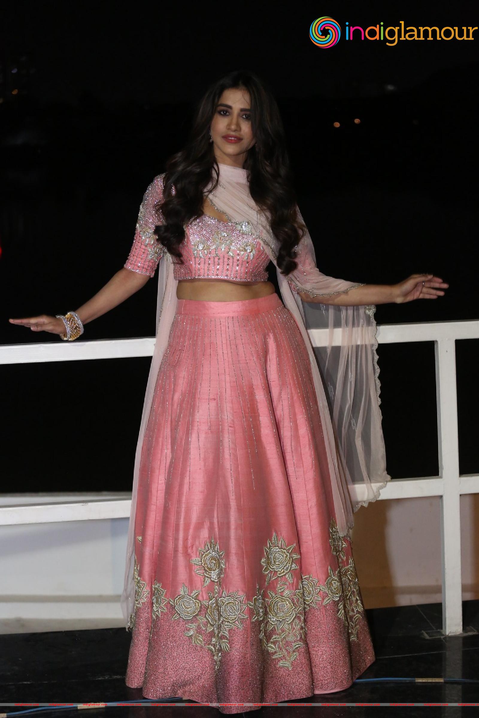Nabha Natesh Actress hd photo
