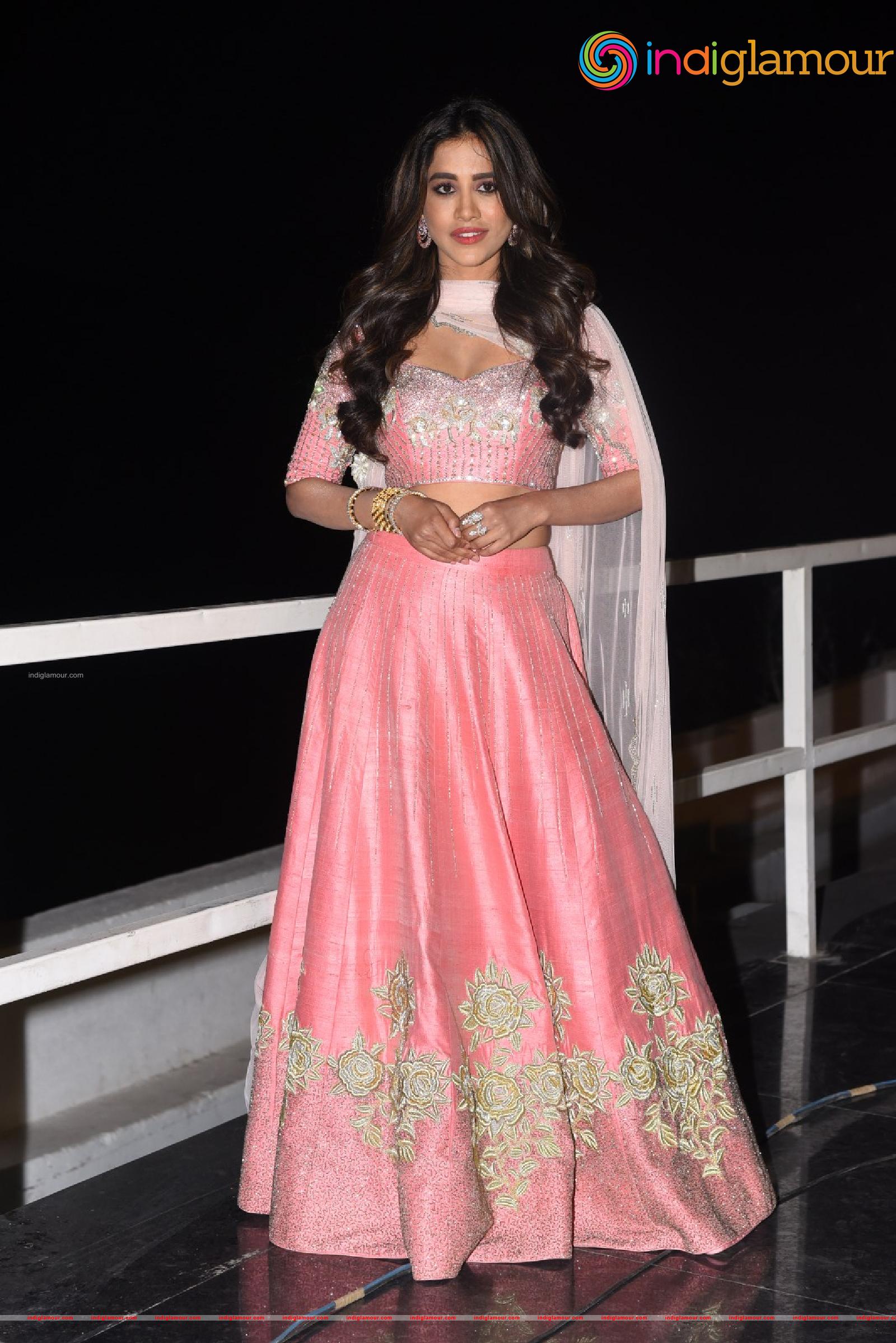 Nabha Natesh Actress hd photo