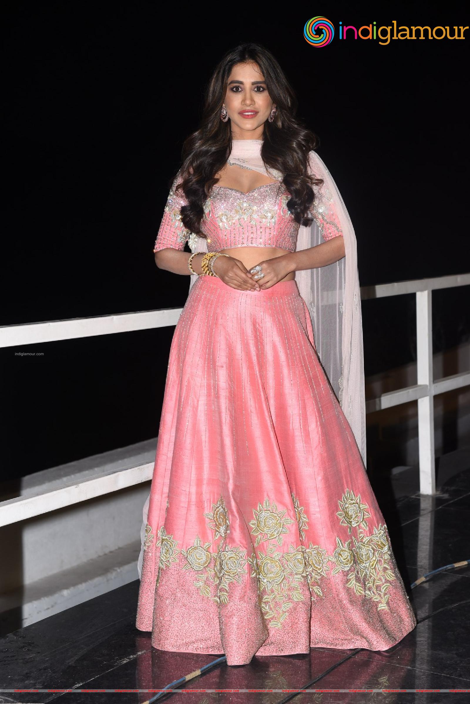 Nabha Natesh Actress hd photo