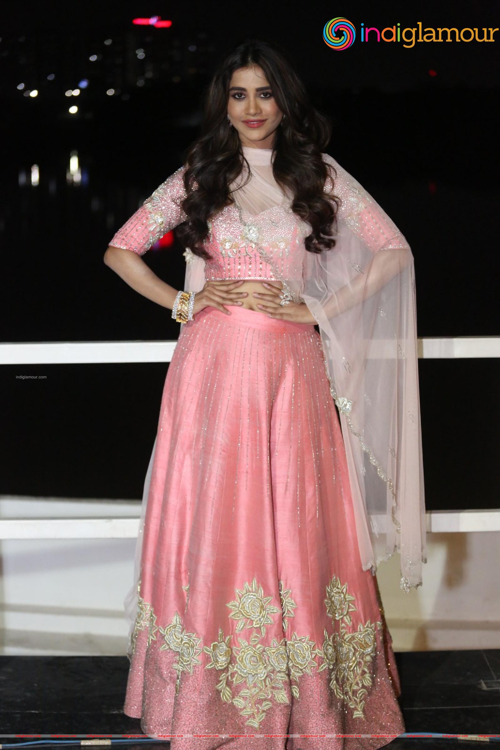 Nabha Natesh Actress hd photo