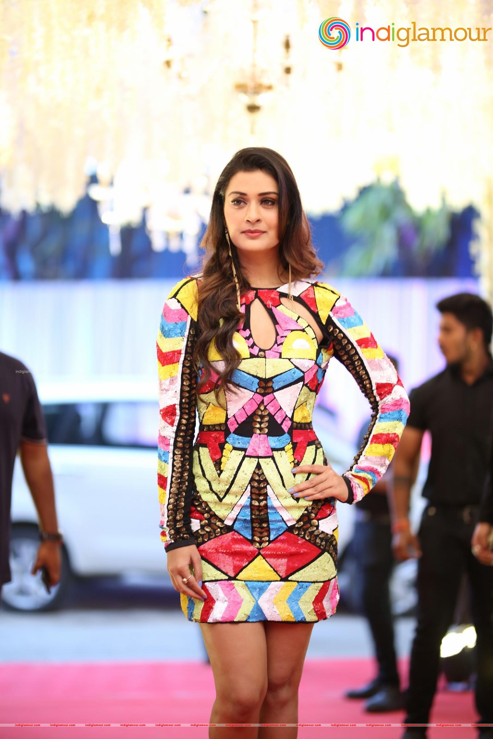 Payal Rajput Actress hd photo