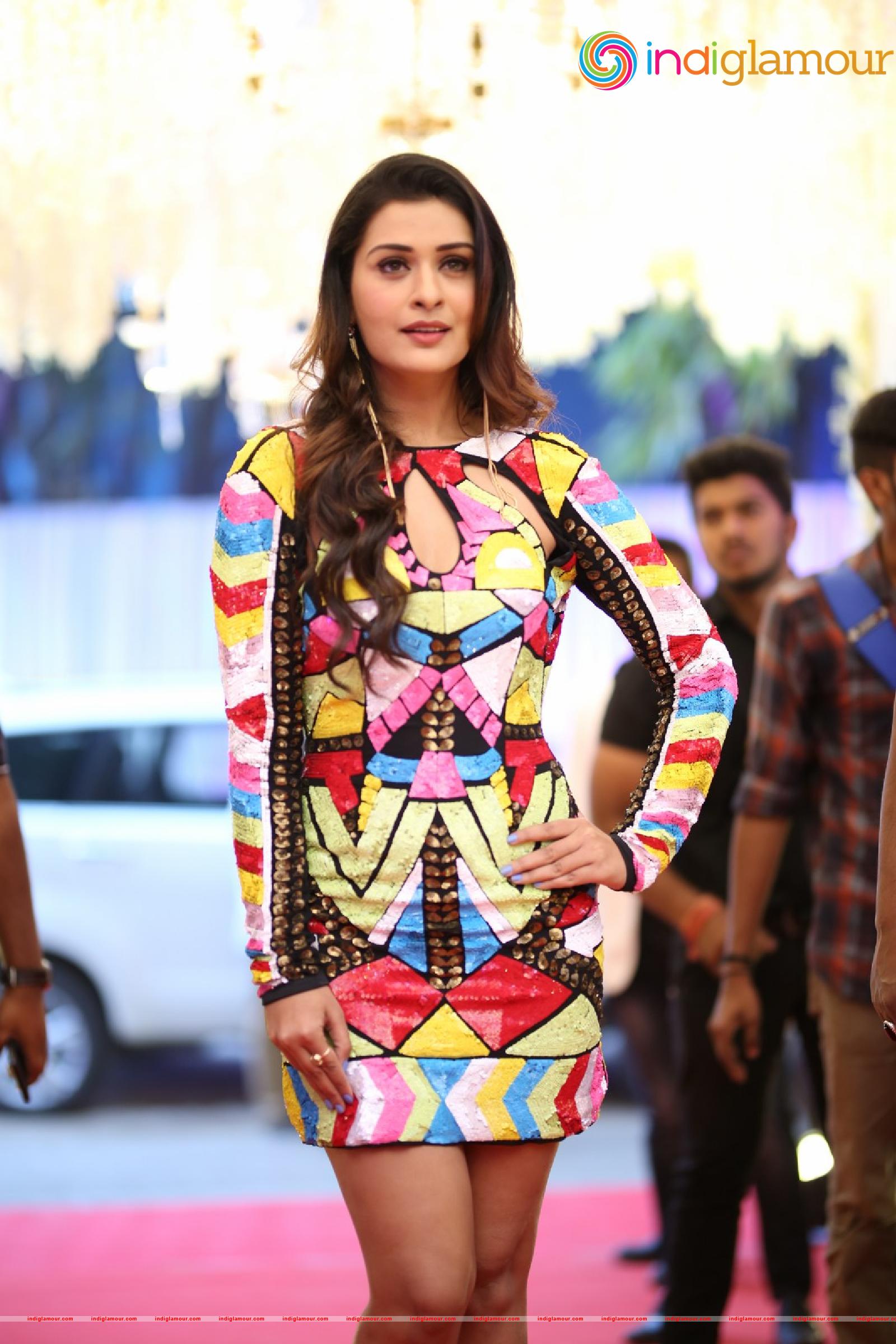 Payal Rajput Actress hd photo