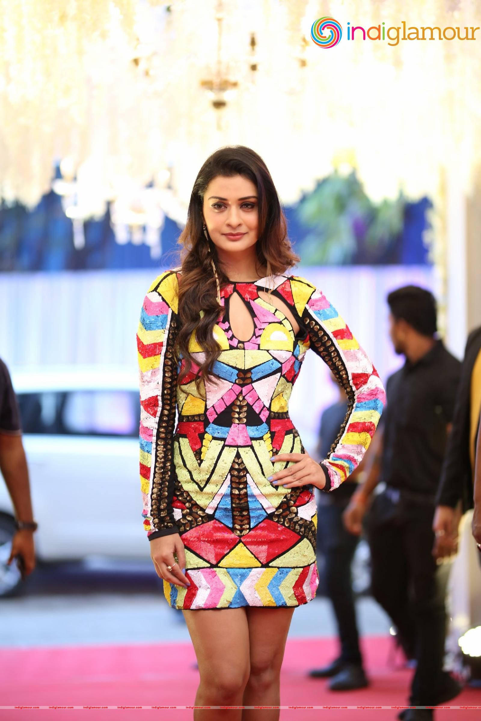 Payal Rajput Actress hd photo