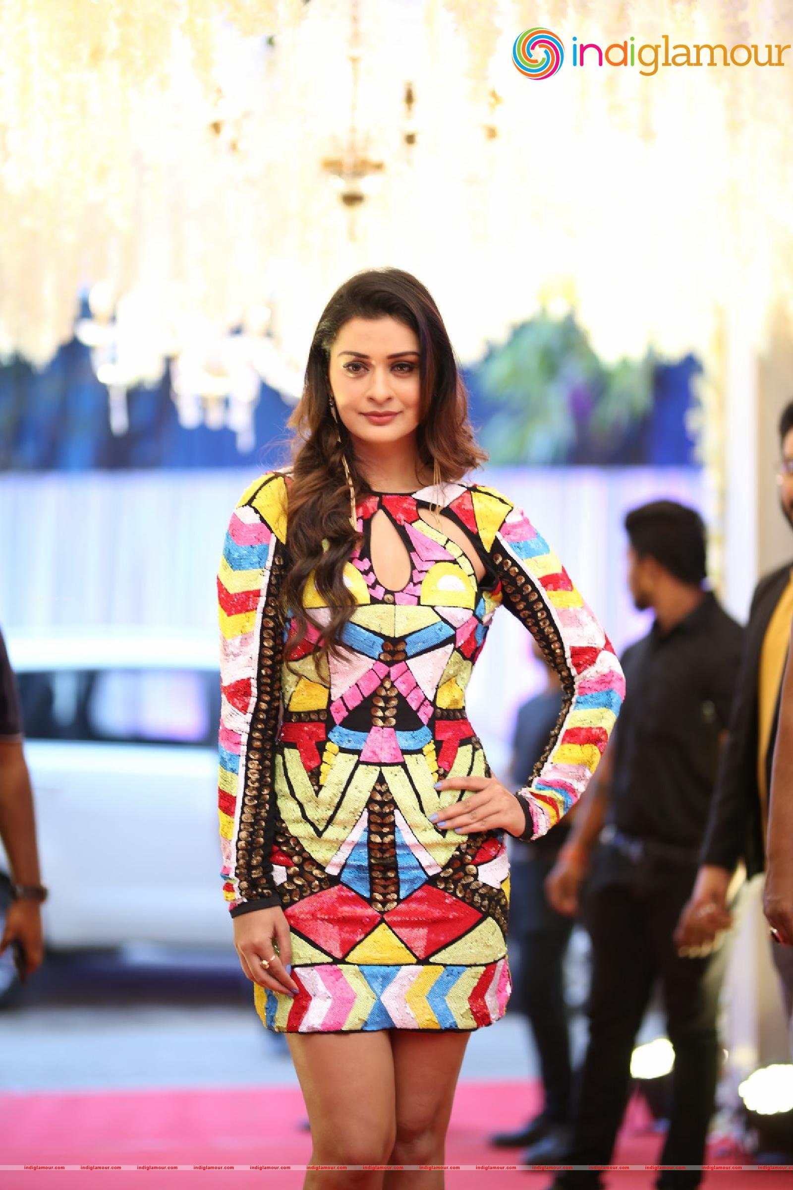 Payal Rajput Actress hd photo