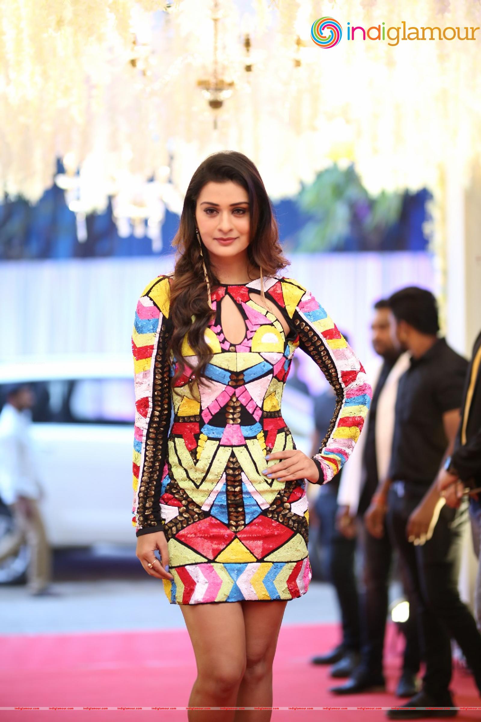 Payal Rajput Actress hd photo