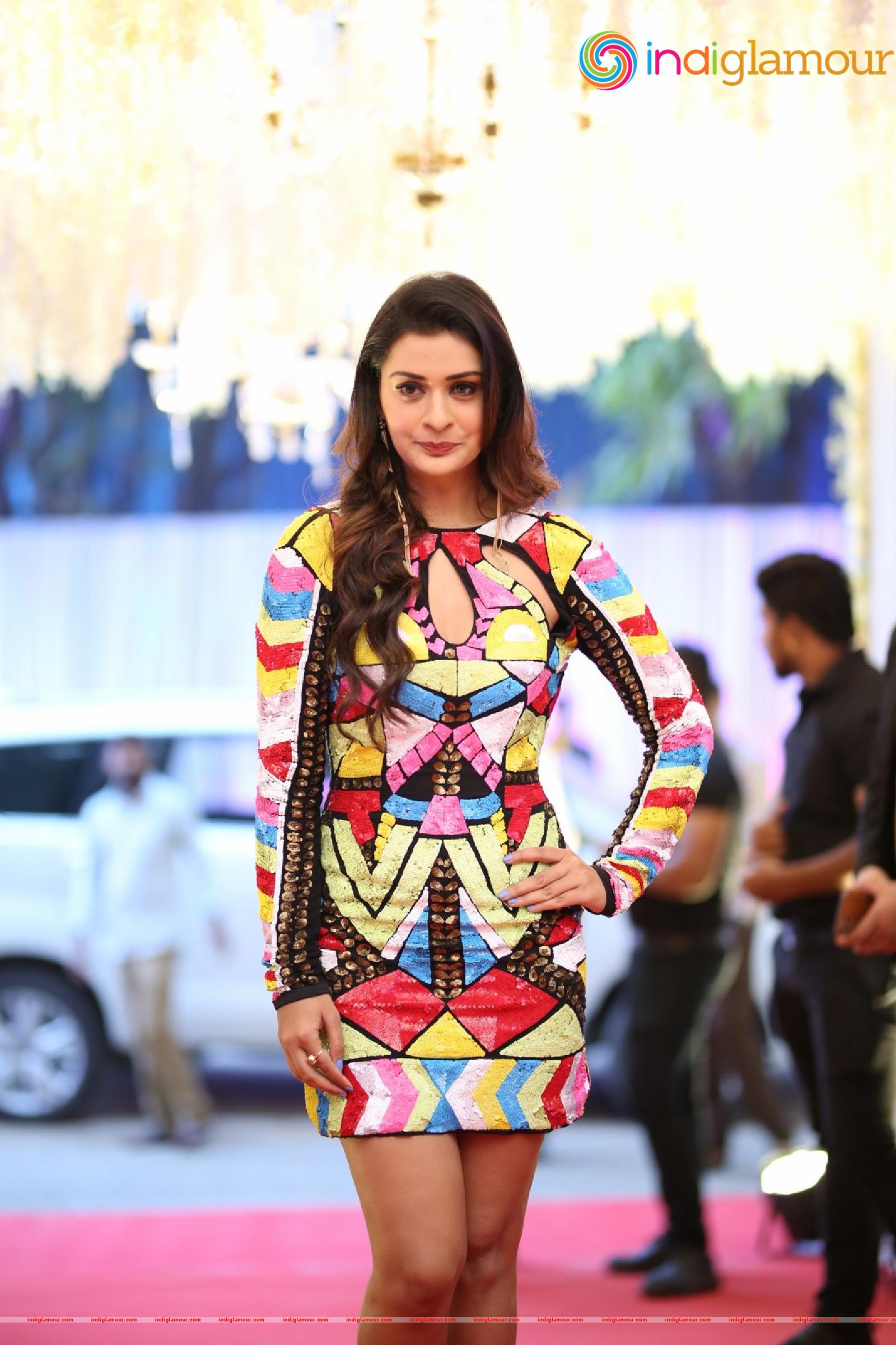 Payal Rajput Actress hd photo