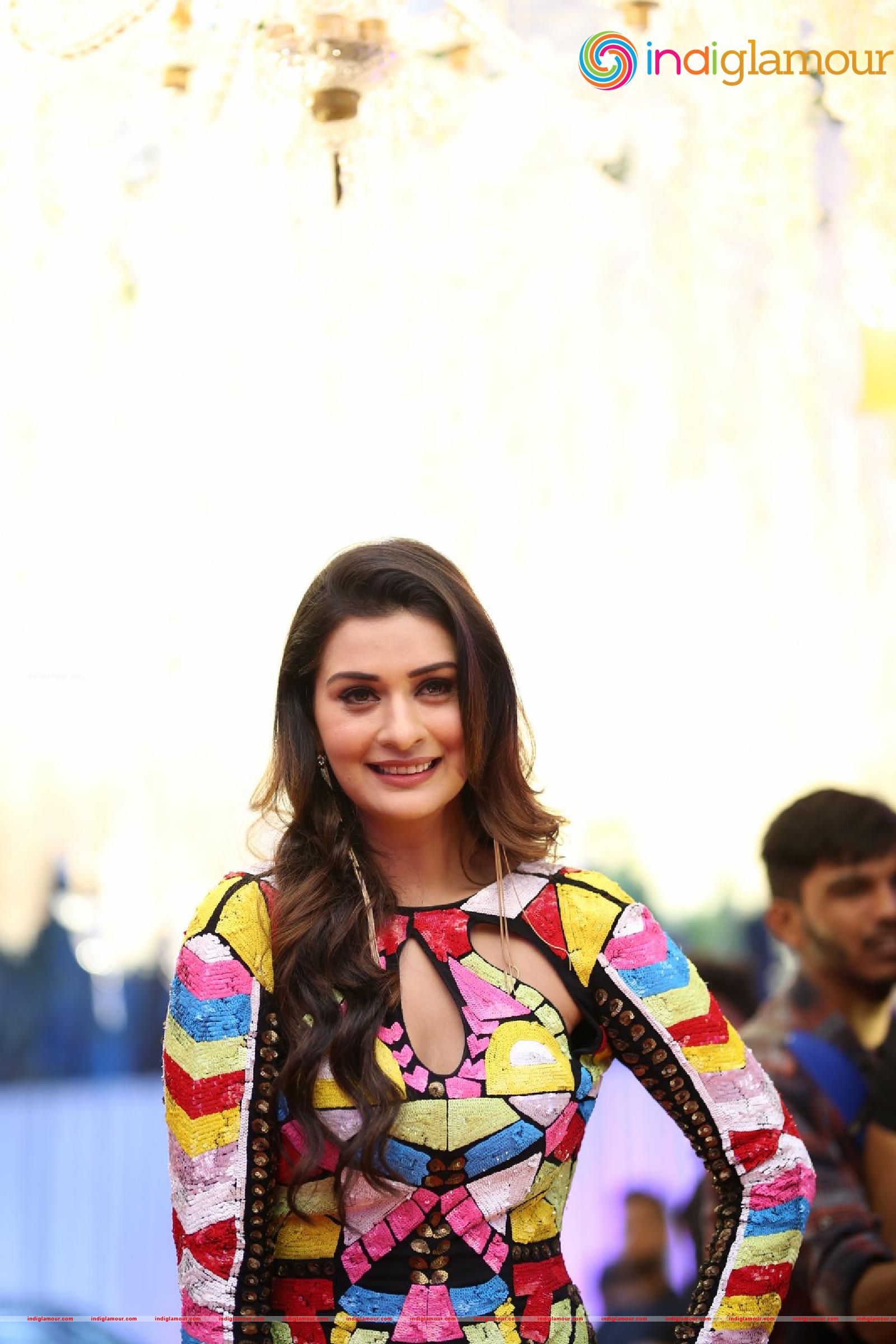 Payal Rajput Actress hd photo