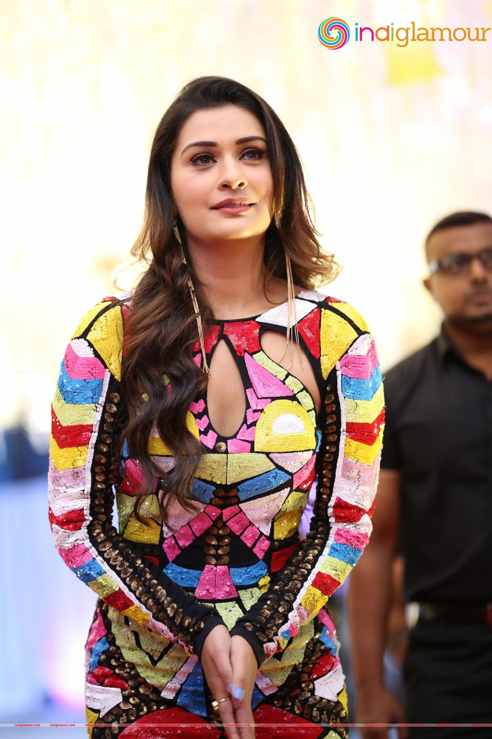Payal Rajput Actress hd photo