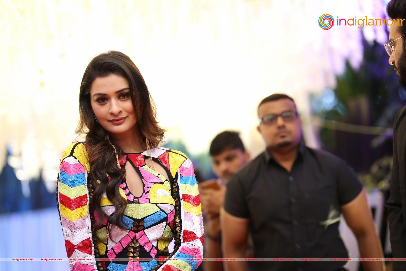 Payal Rajput Actress hd photo