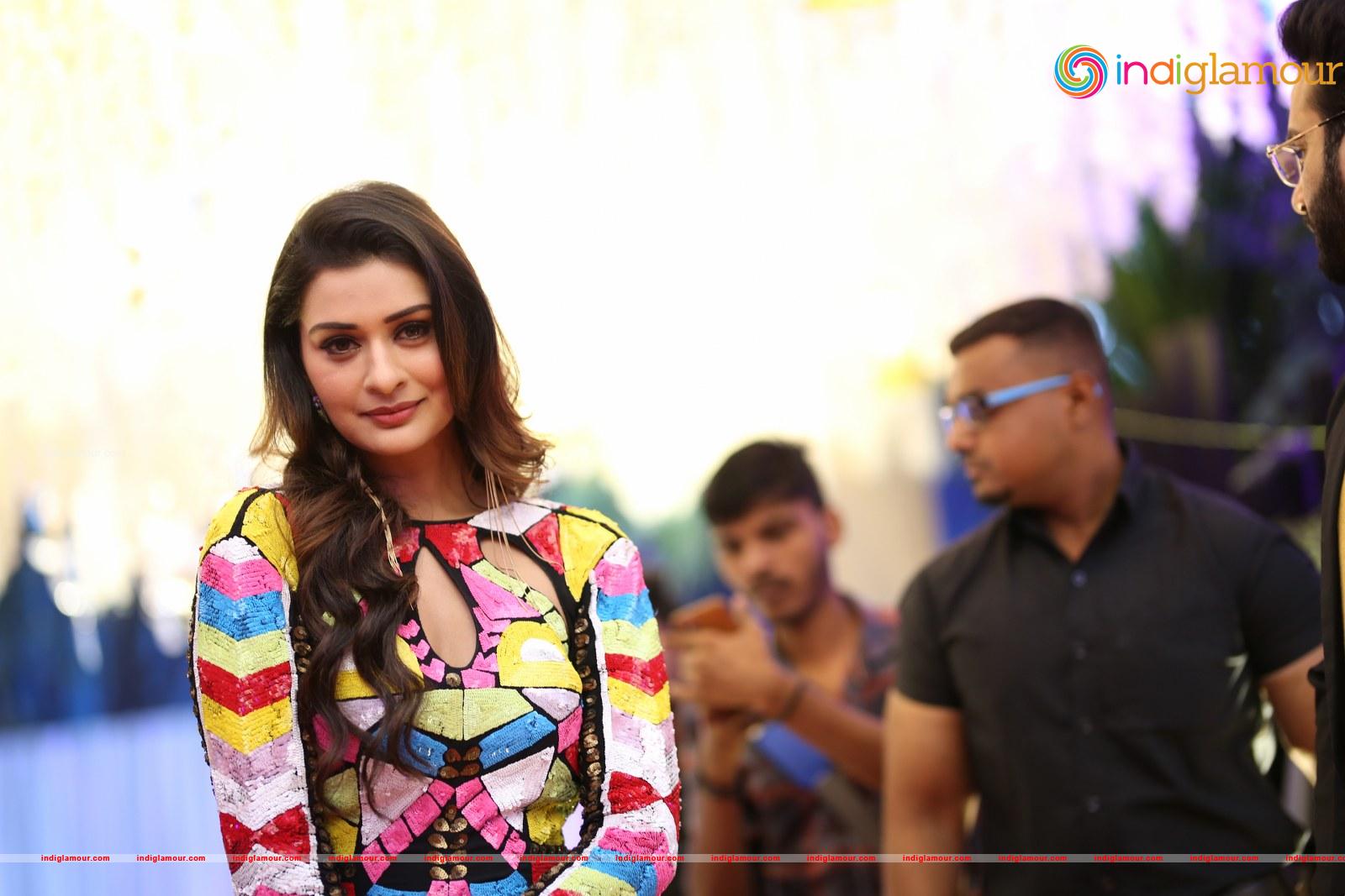 Payal Rajput Actress hd photo