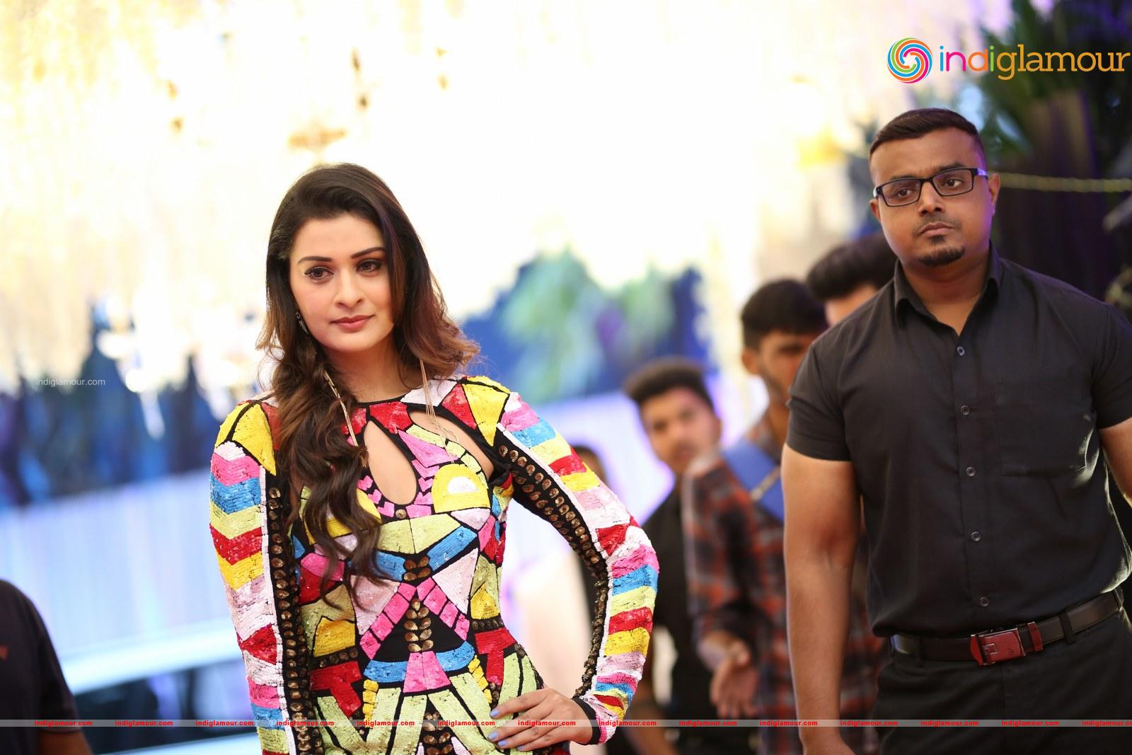Payal Rajput Actress hd photo