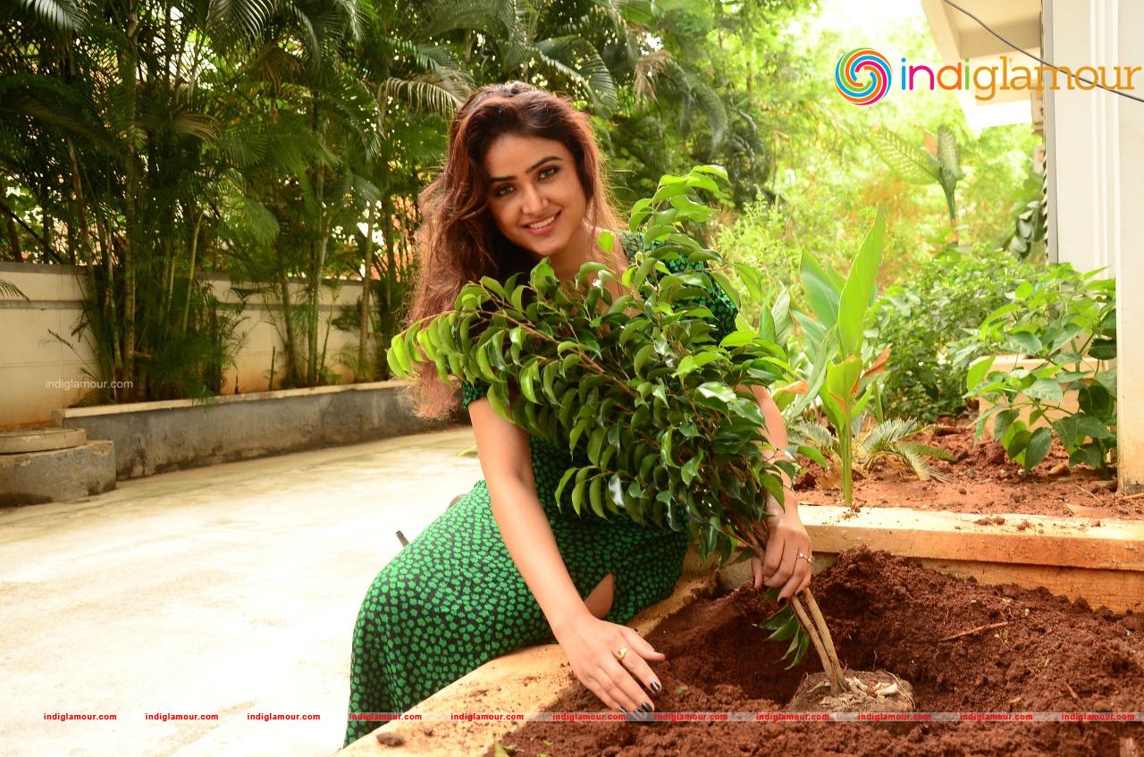 Sony Charishta Actress hd photo