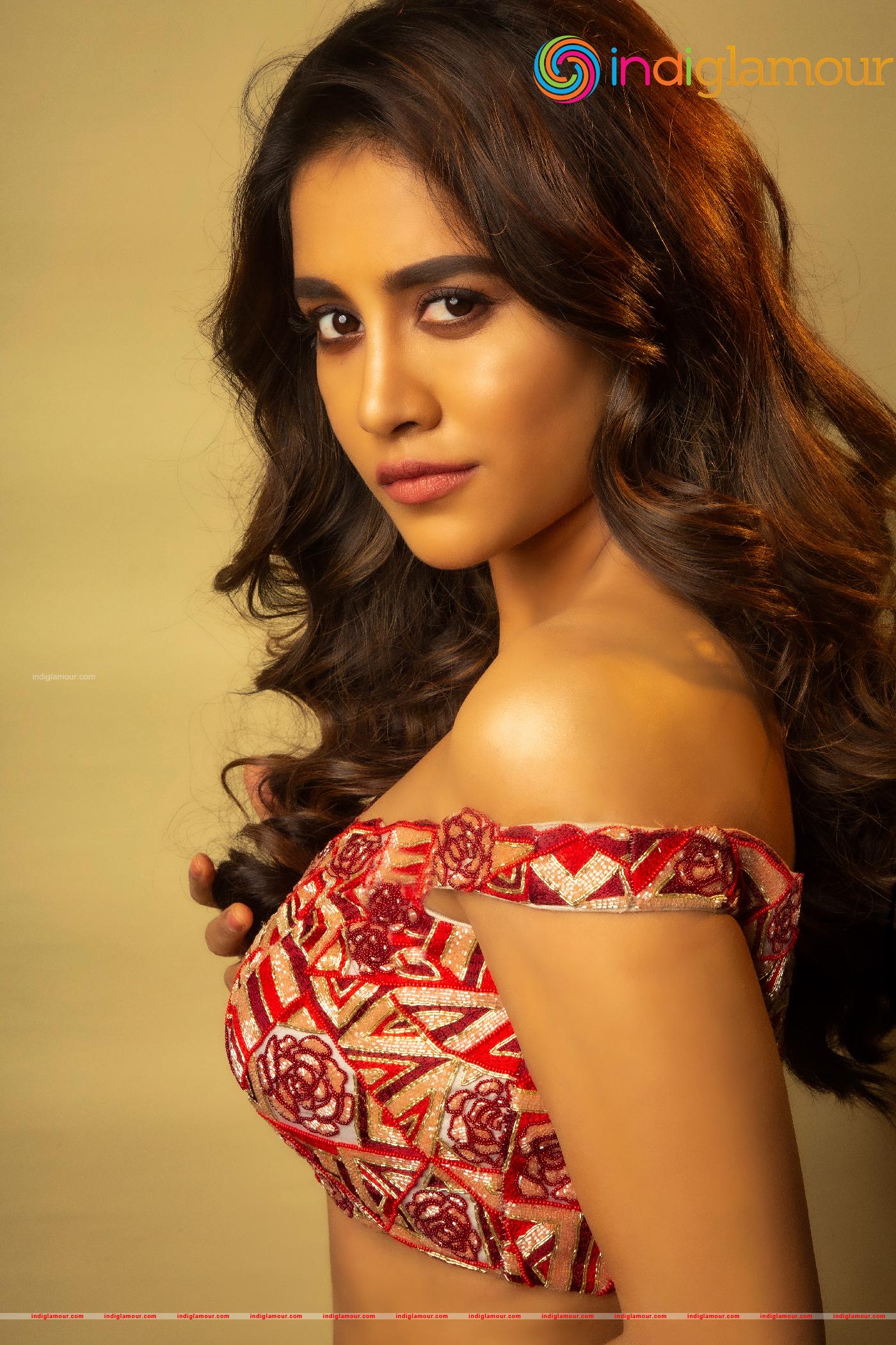 Nabha Natesh Actress hd photo