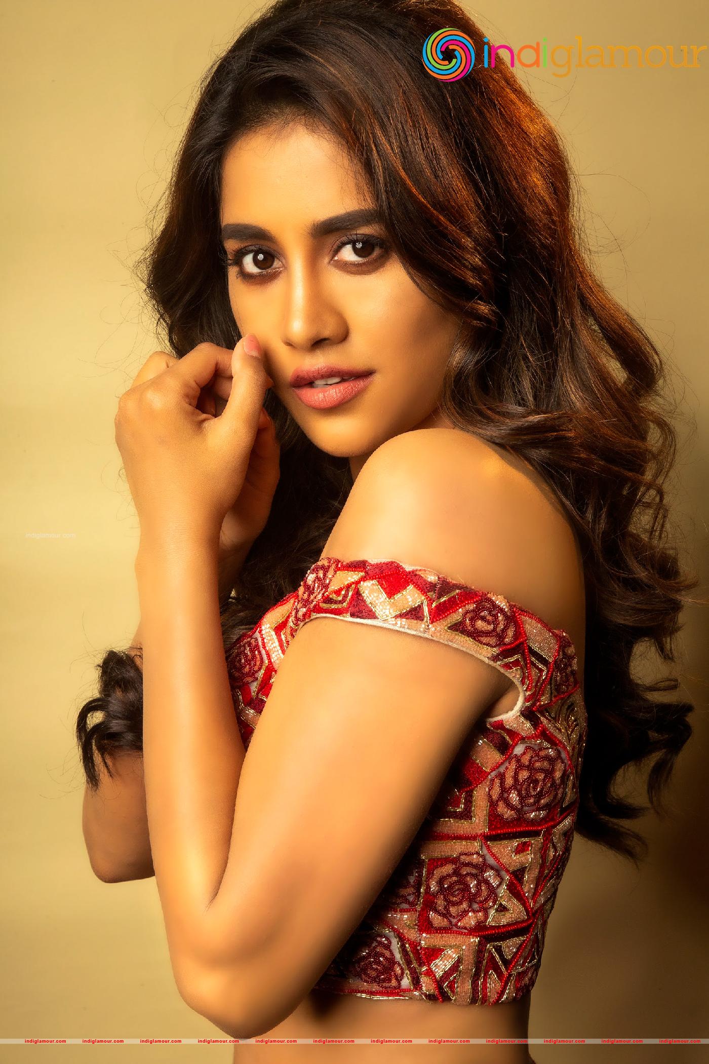 Nabha Natesh Actress hd photo