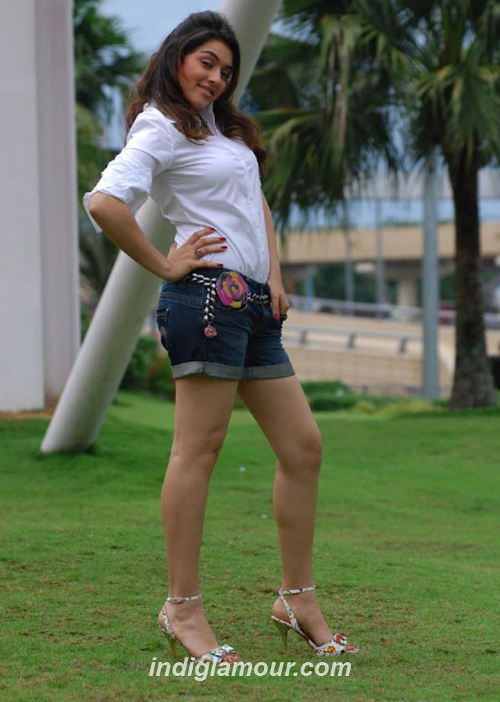Hansika Motwani Actress hd photo