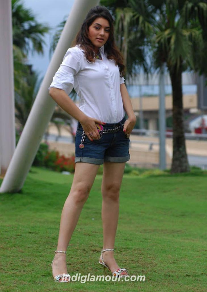 Hansika Motwani Actress hd photo