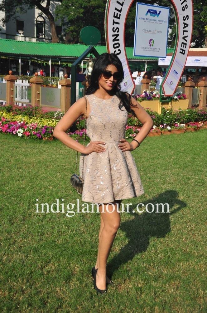 Shriya Saran Actress hd photo