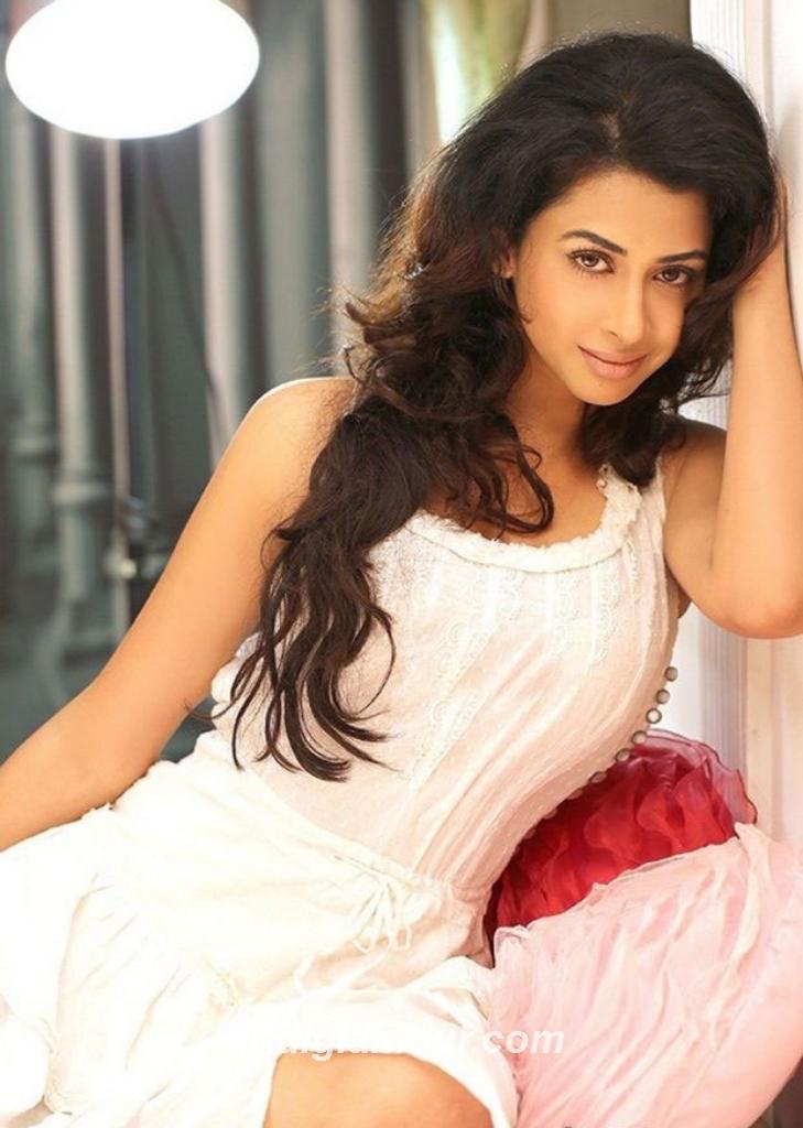 Gayathri Iyer Actress hd photo