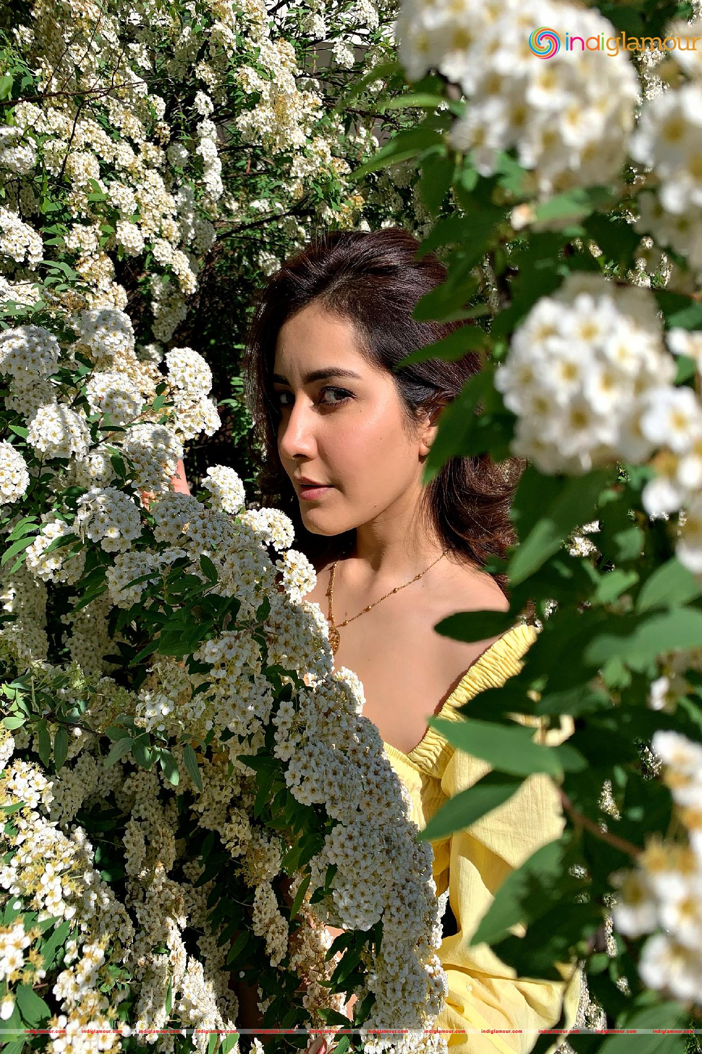 Raashi Khanna Actress hd photo