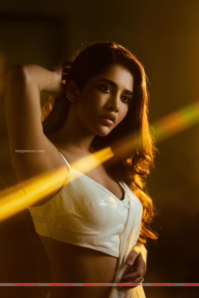 Nabha Natesh Actress hd photo